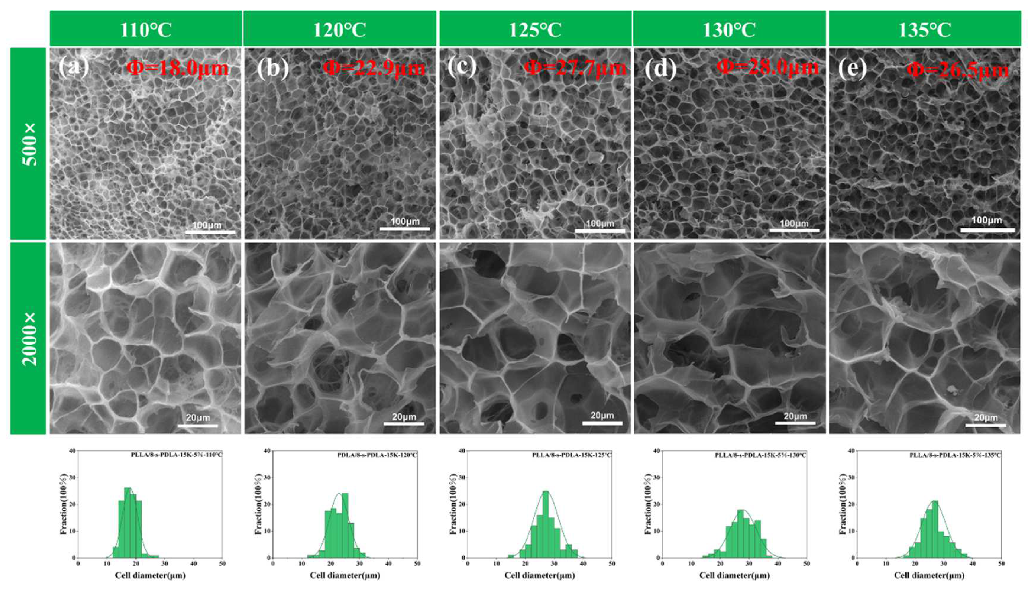 Polymers 15 01984 g009