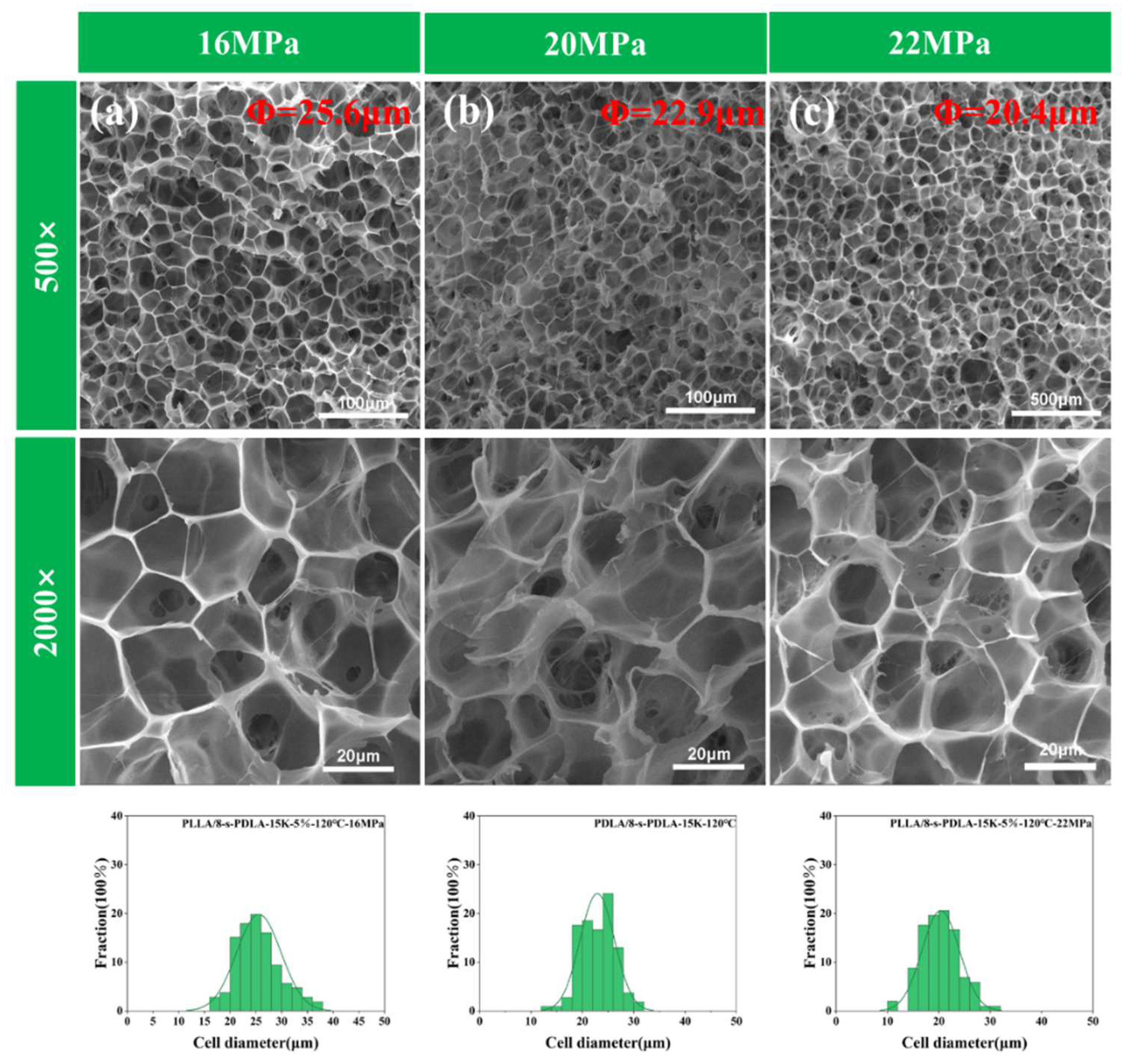 Polymers 15 01984 g010