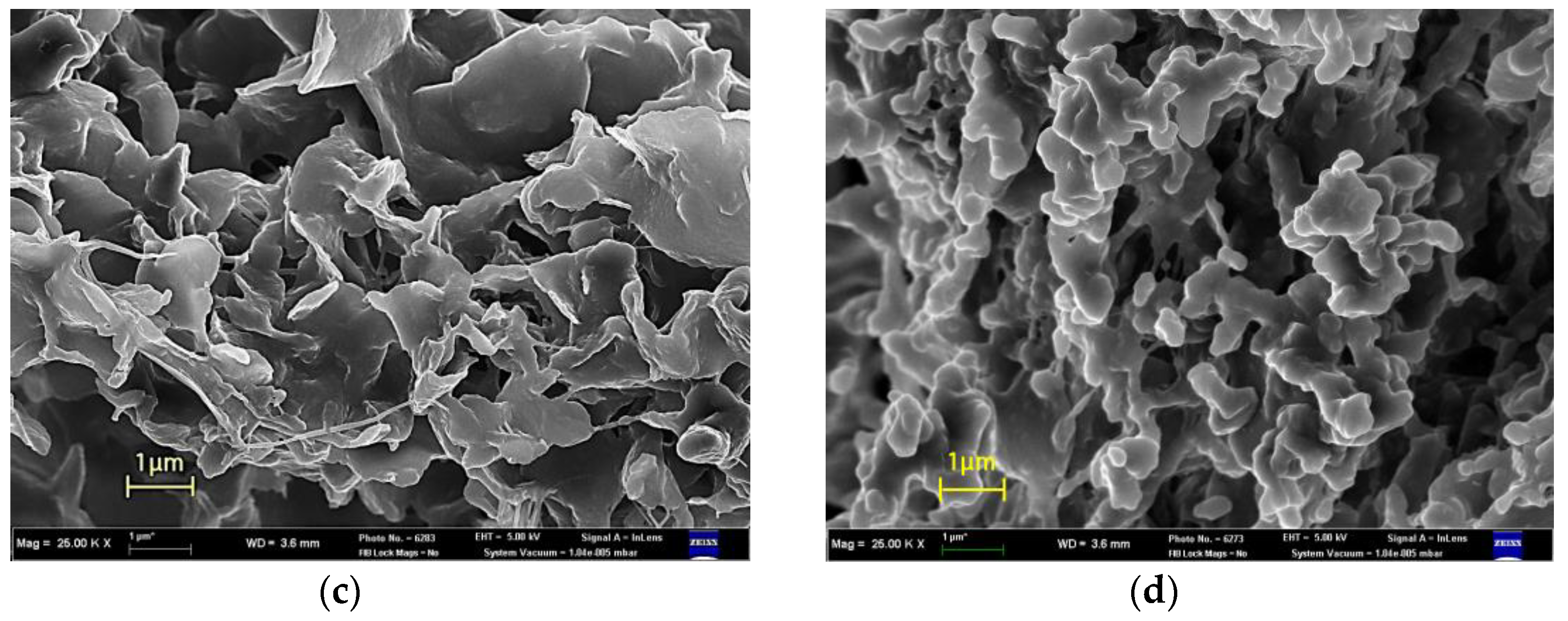 Polymers 15 01986 g004b Polymers 15 01986 g004b