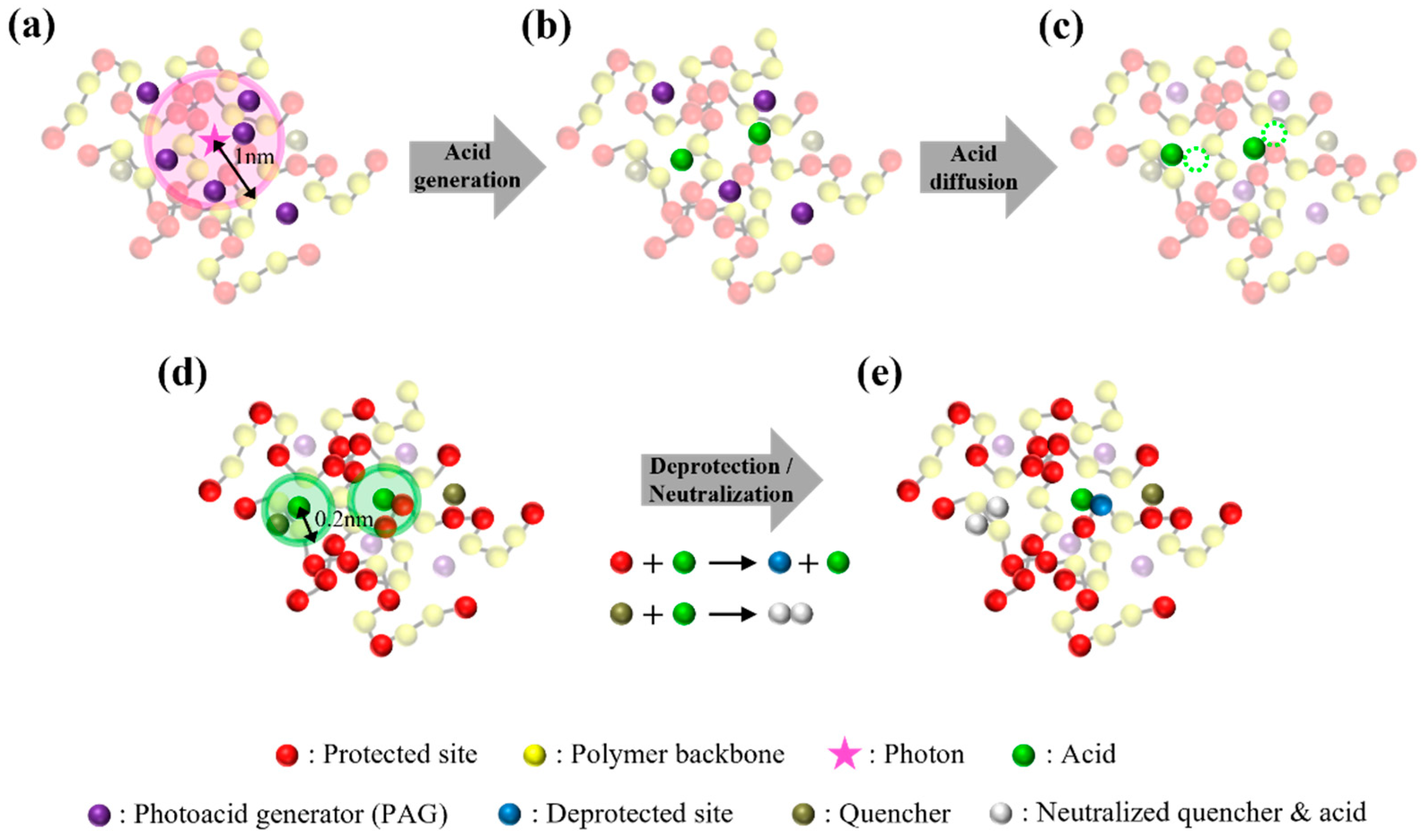Polymers 15 01988 g003