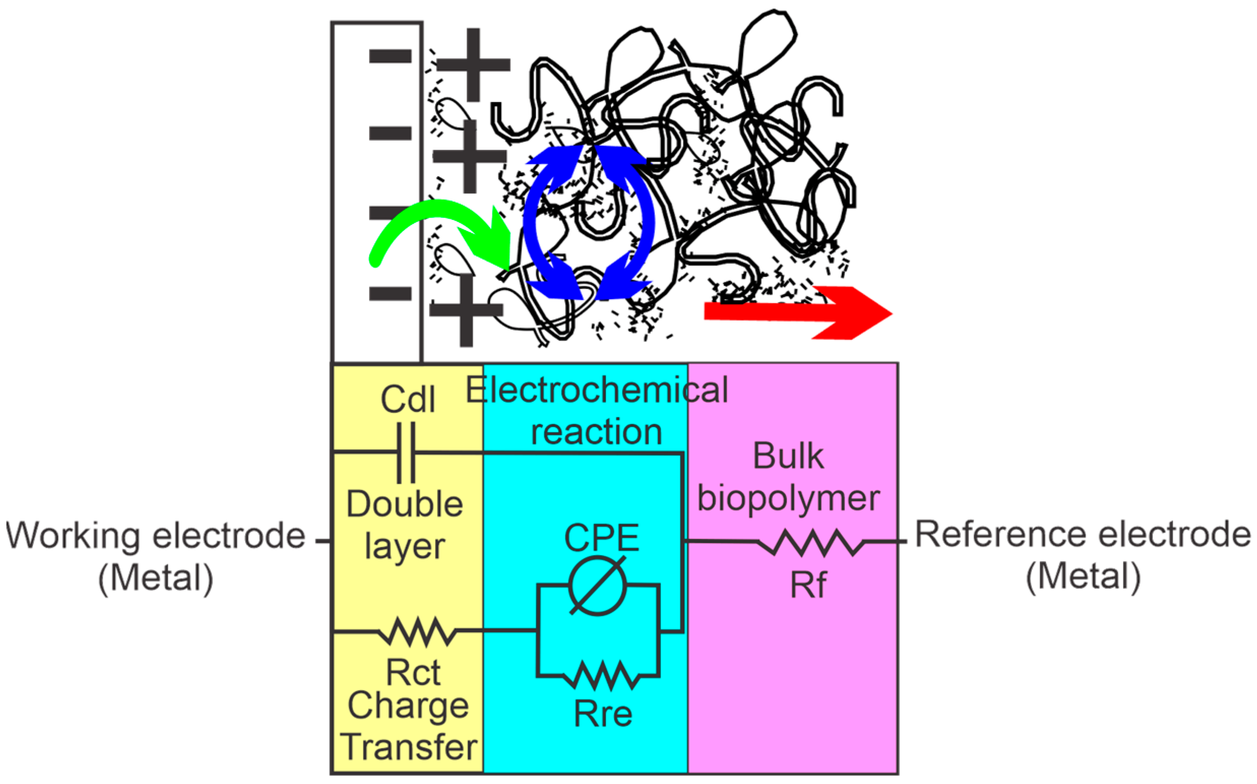 Polymers 15 01994 g005