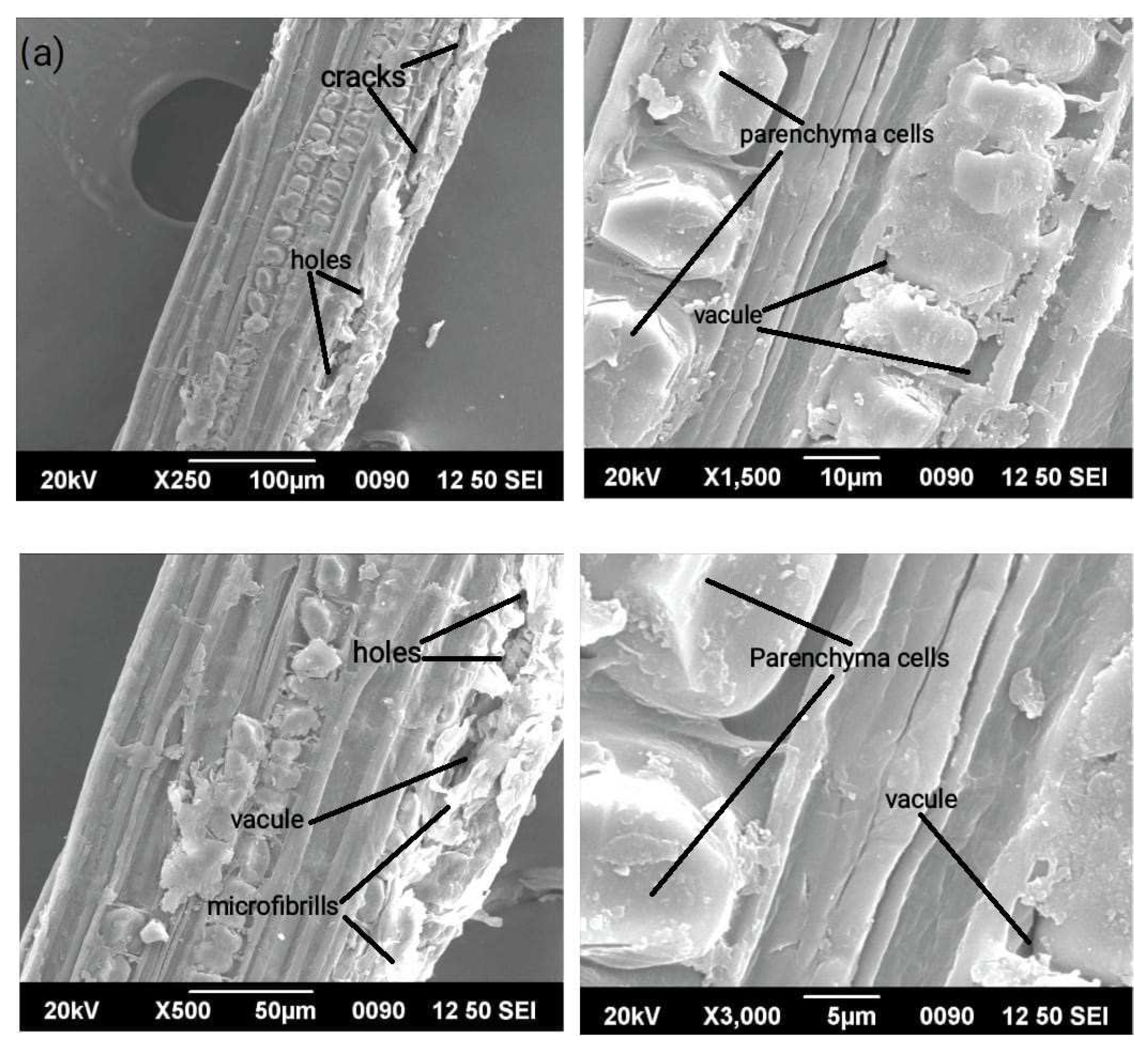 Polymers 15 01996 g004a Polymers 15 01996 g004a