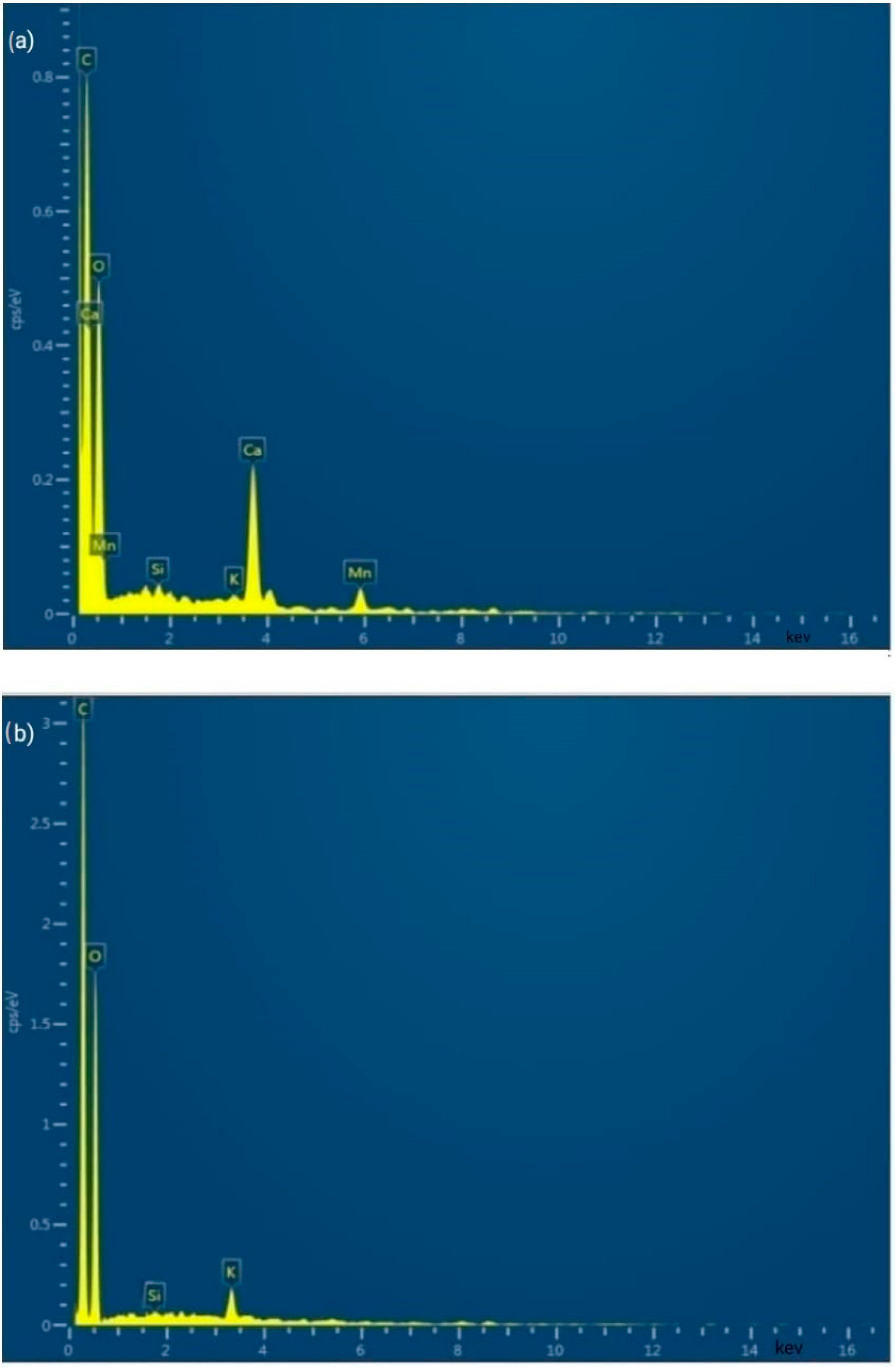 Polymers 15 01996 g005 Polymers 15 01996 g005