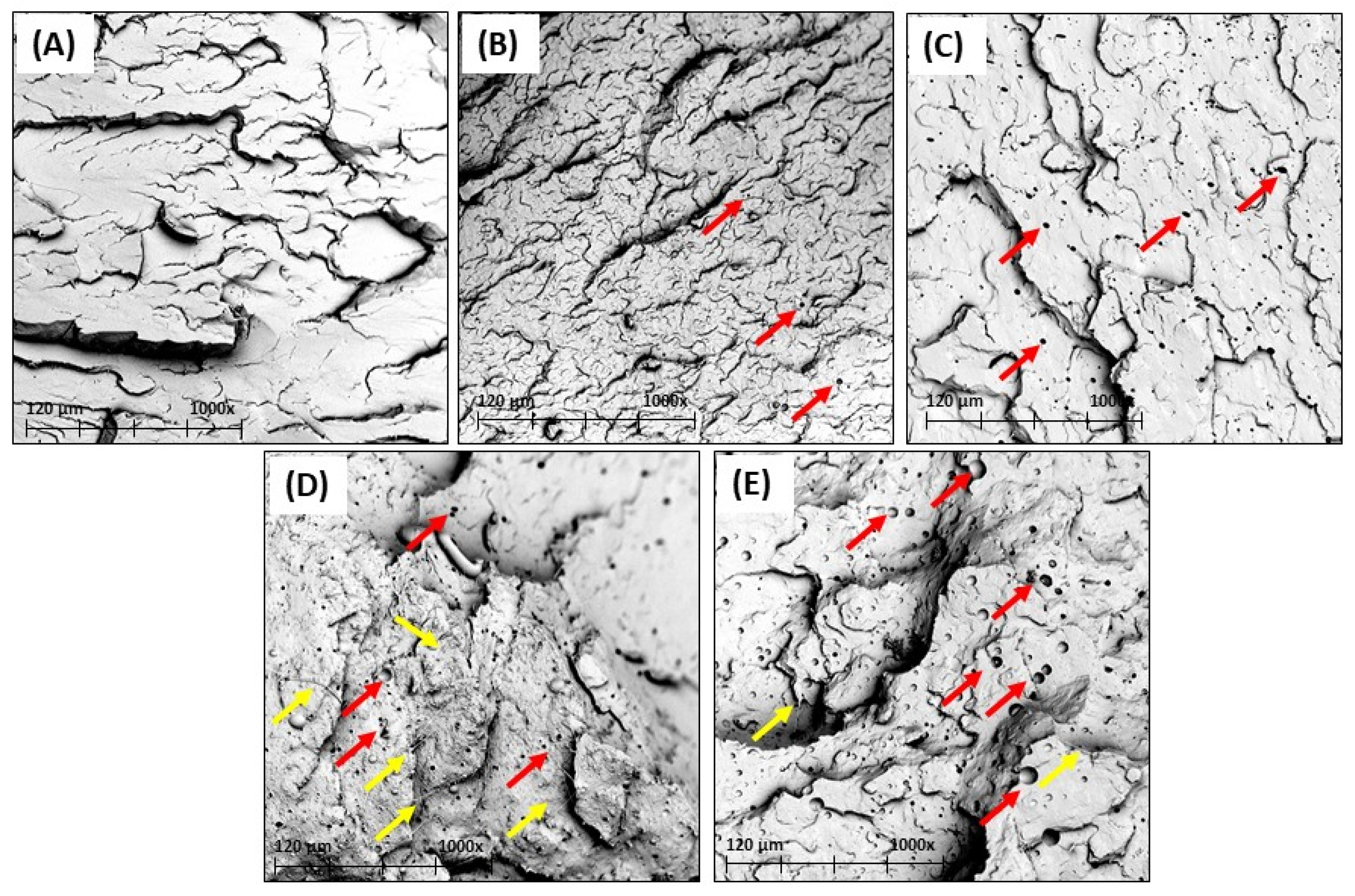 Polymers 15 01997 g009 Polymers 15 01997 g009