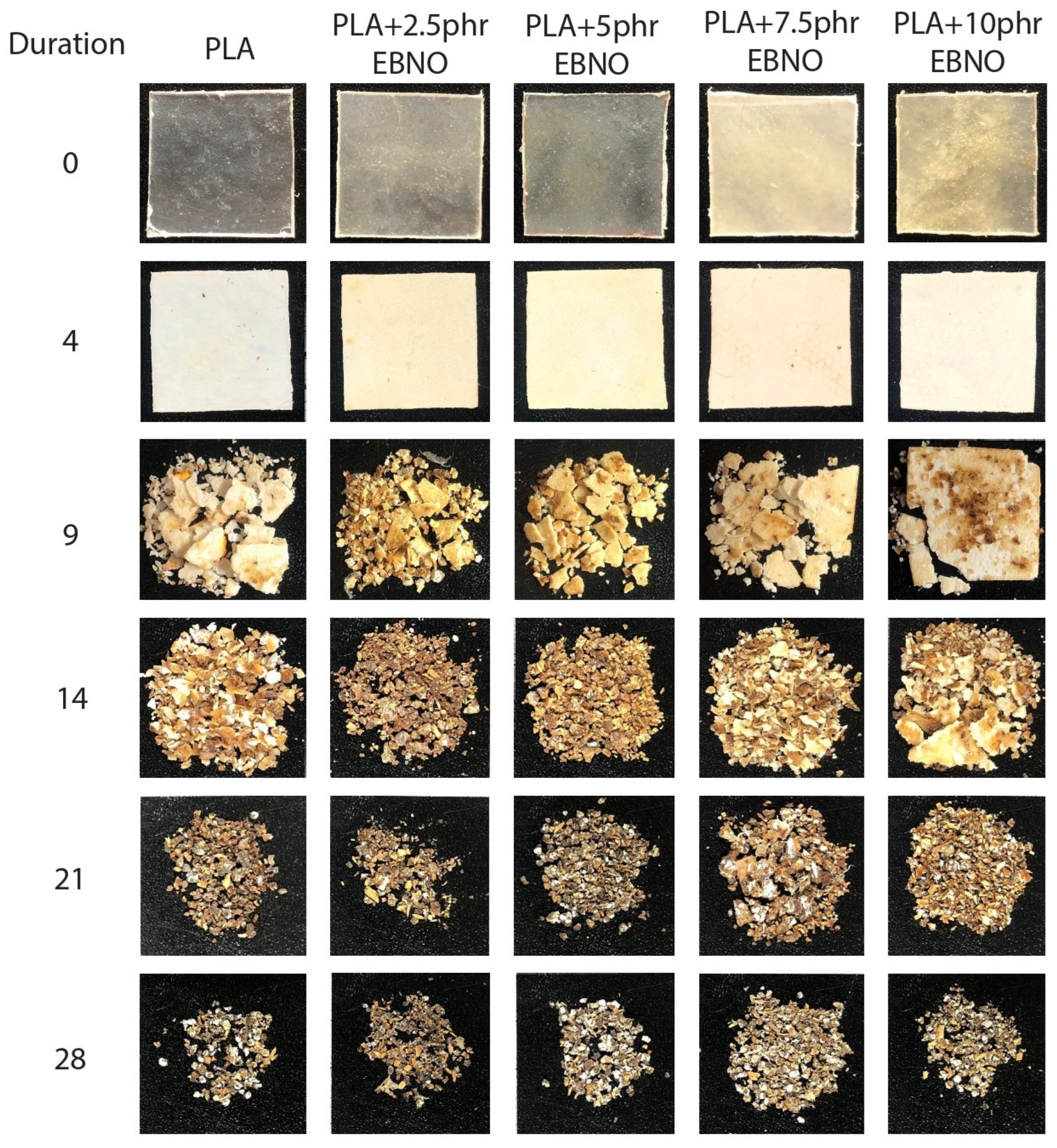 Polymers 15 01997 g010 Polymers 15 01997 g010