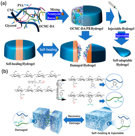 Polymers Free FullText Advances in Functional Hydrogel Wound