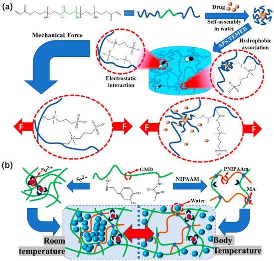Advances in Functional Hydrogel Wound Dressings: A Review