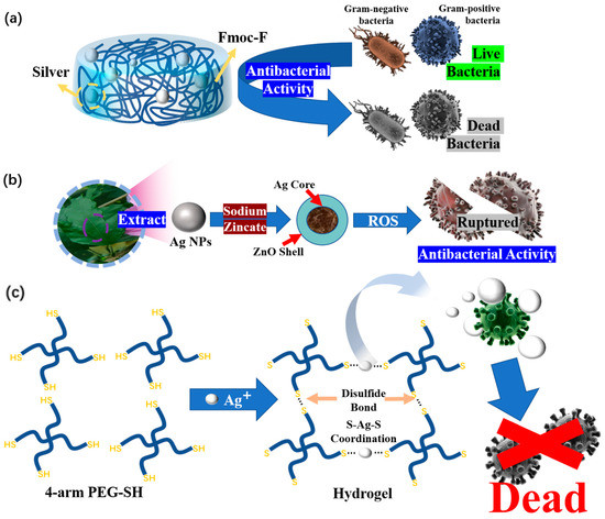 Advances in Functional Hydrogel Wound Dressings: A Review
