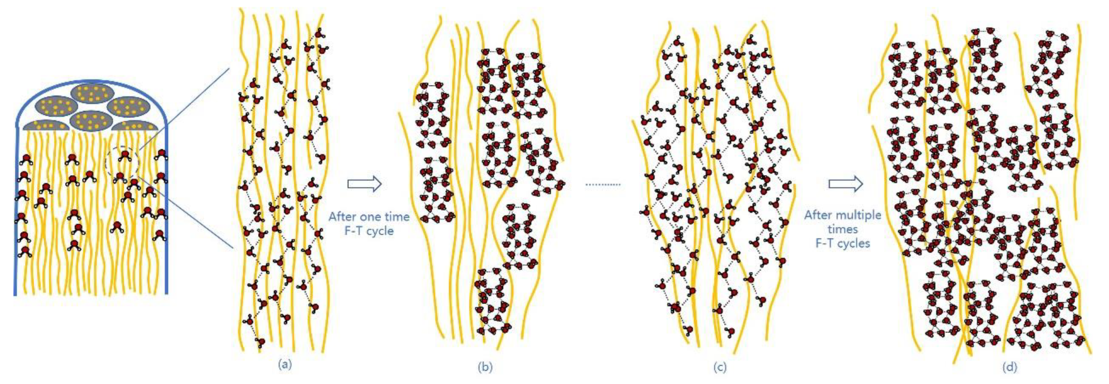 Polymers 15 02001 g012