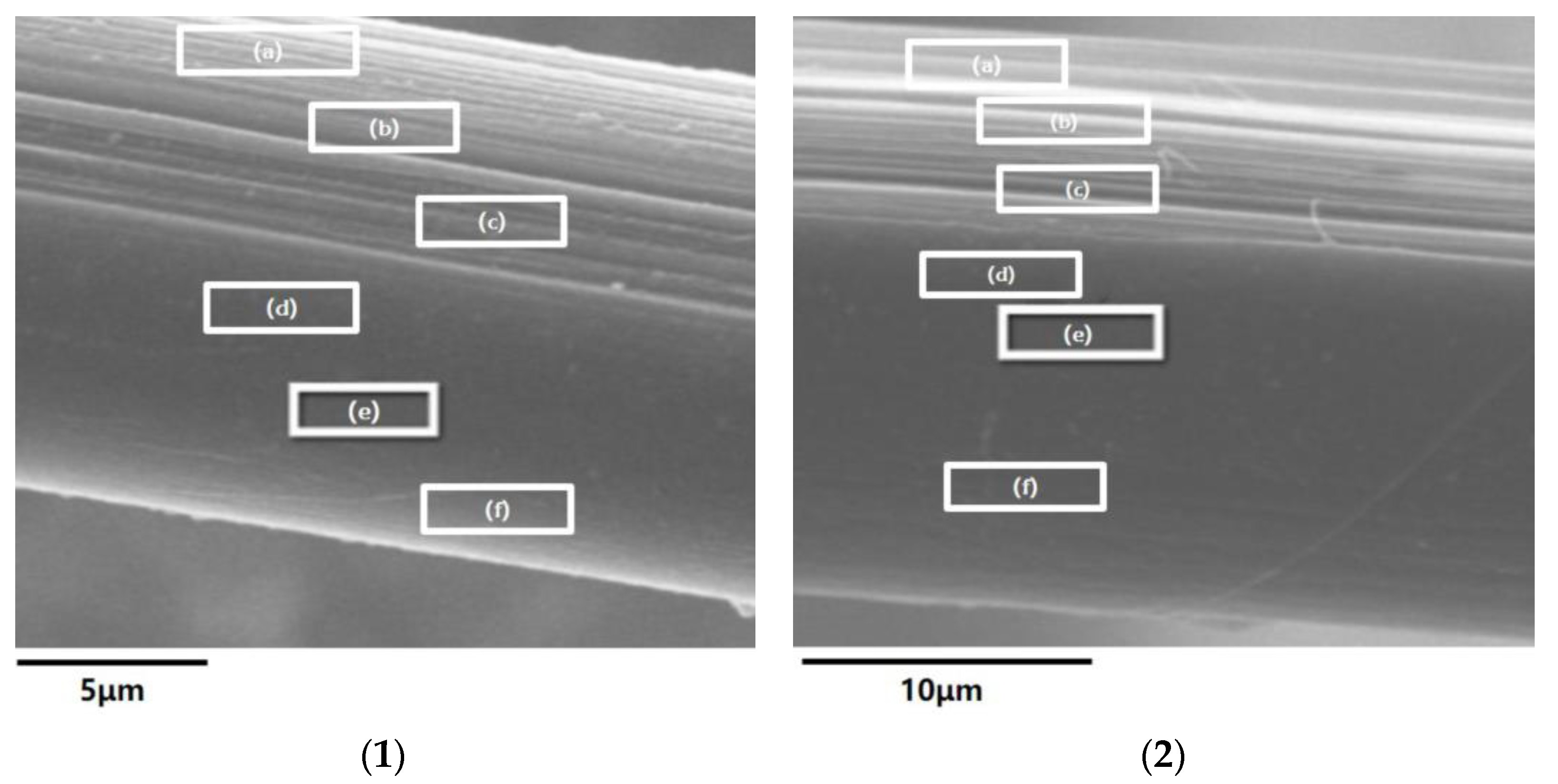 Polymers 15 02001 g013