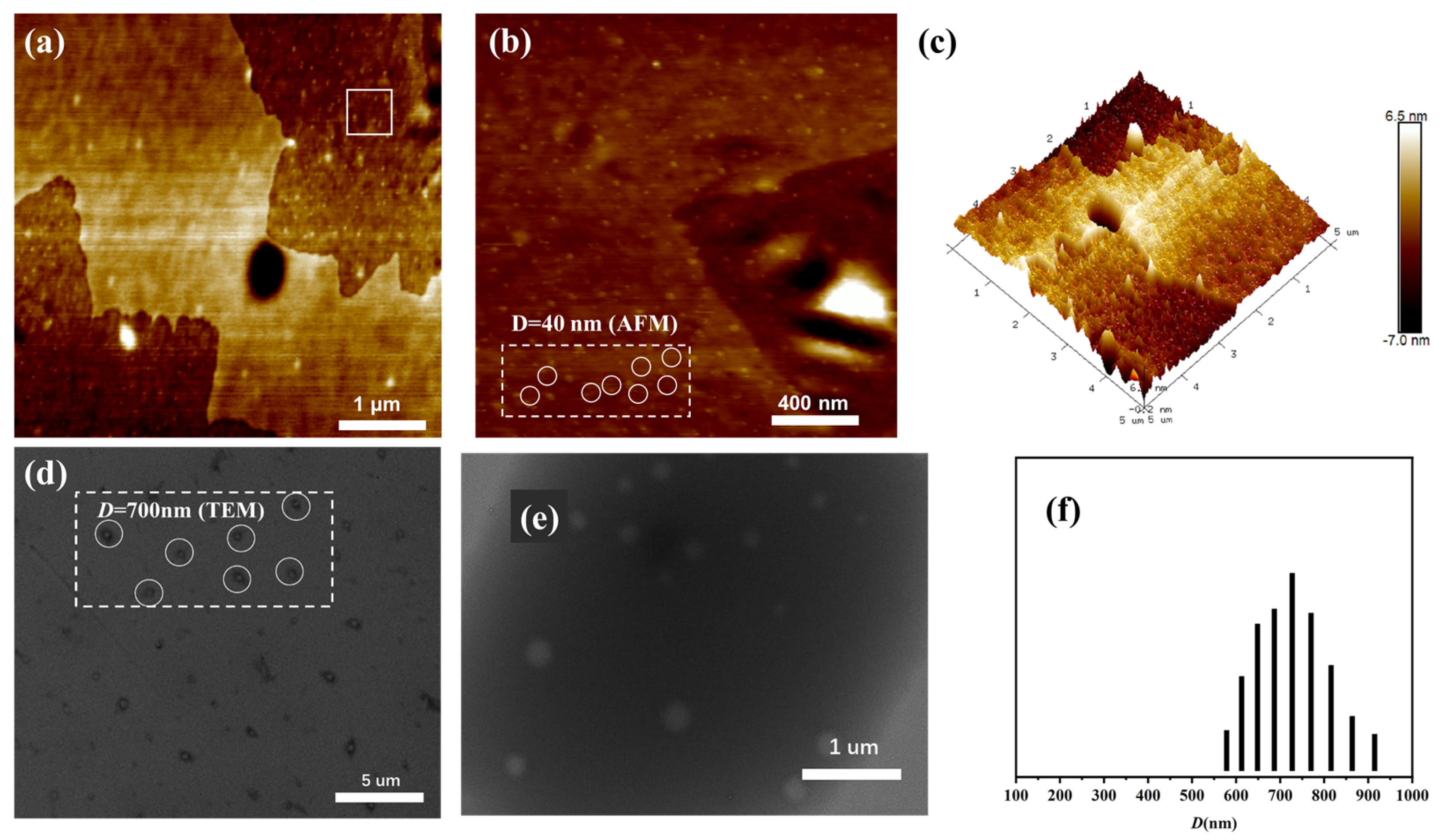 Polymers 15 02002 g006