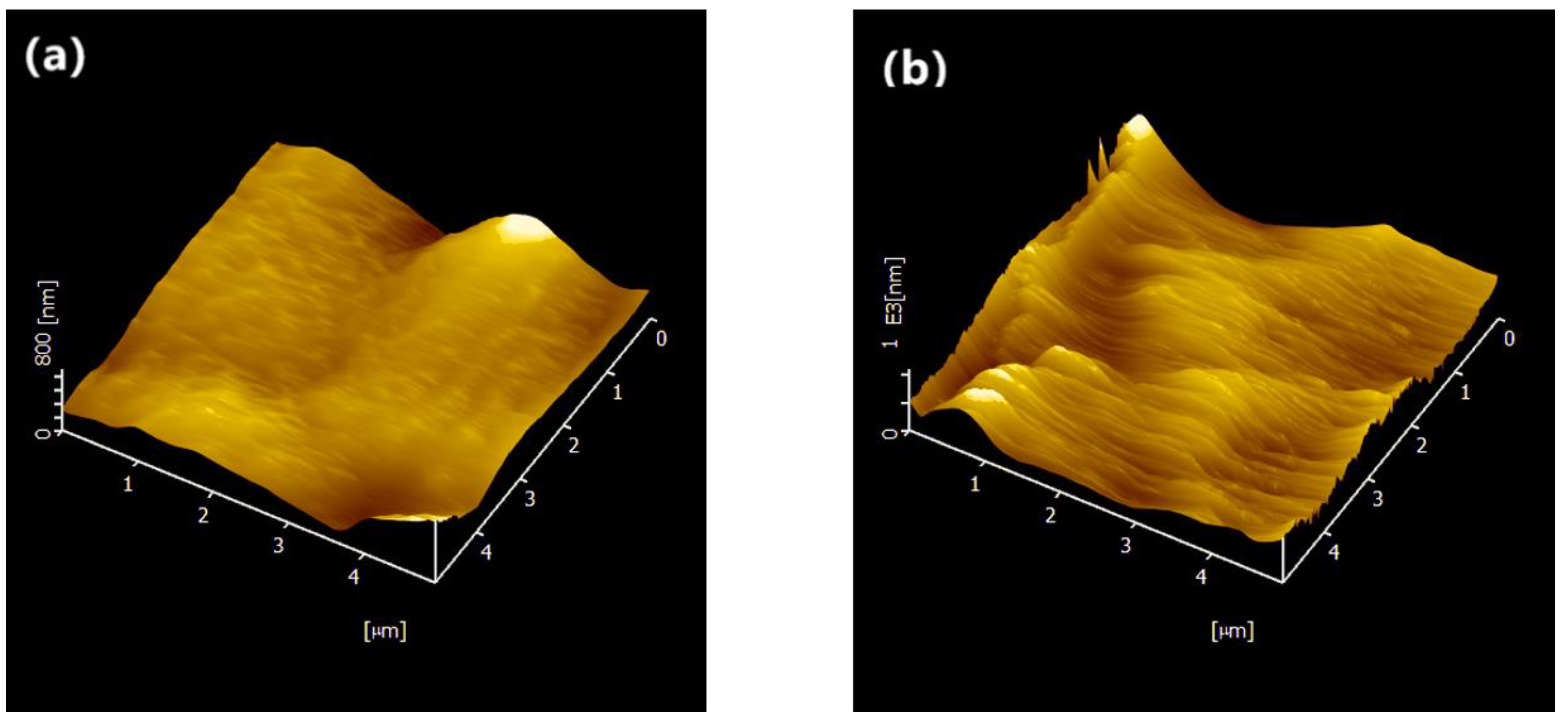 Polymers 15 02006 g006