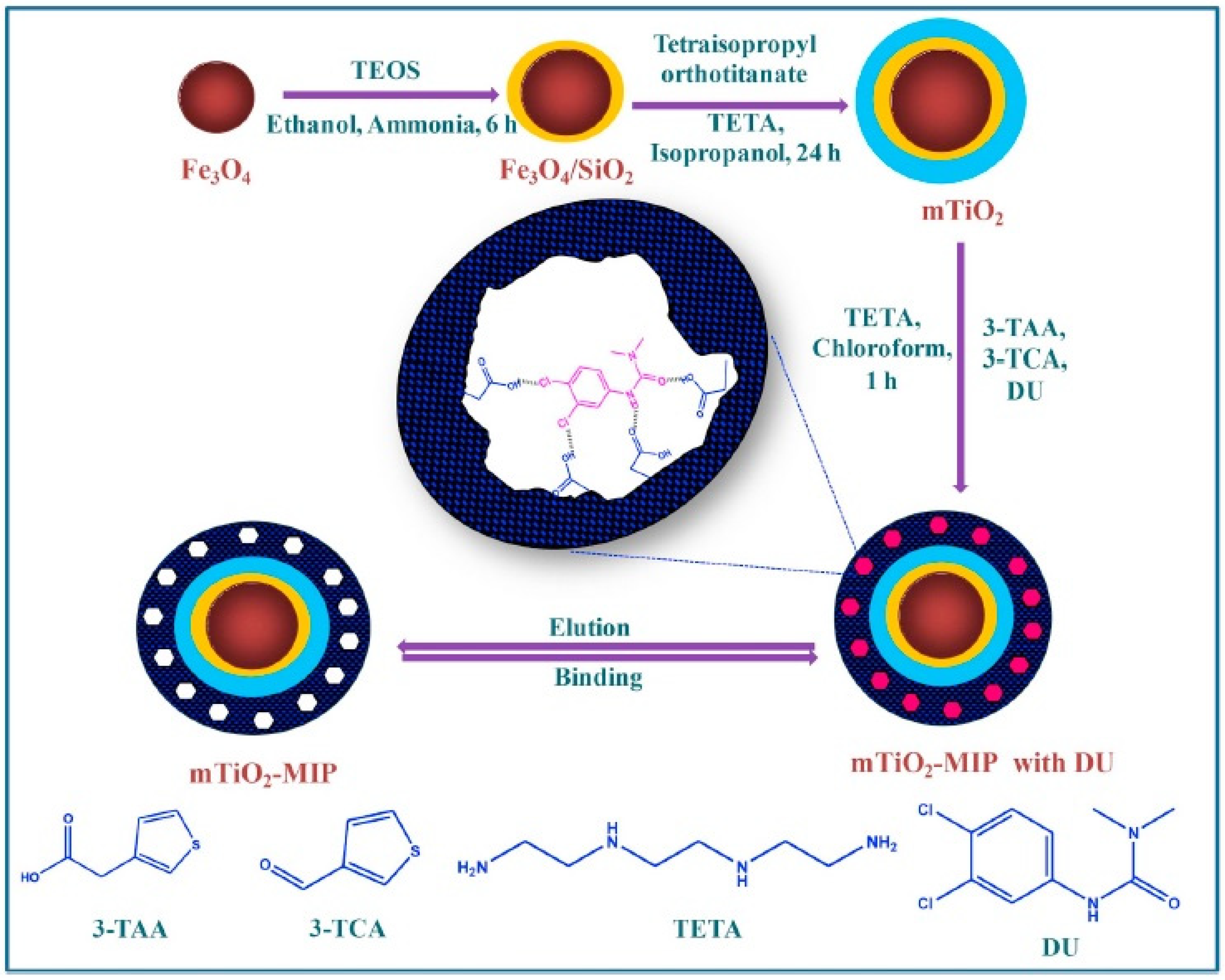 Polymers 15 02009 g003 Polymers 15 02009 g003
