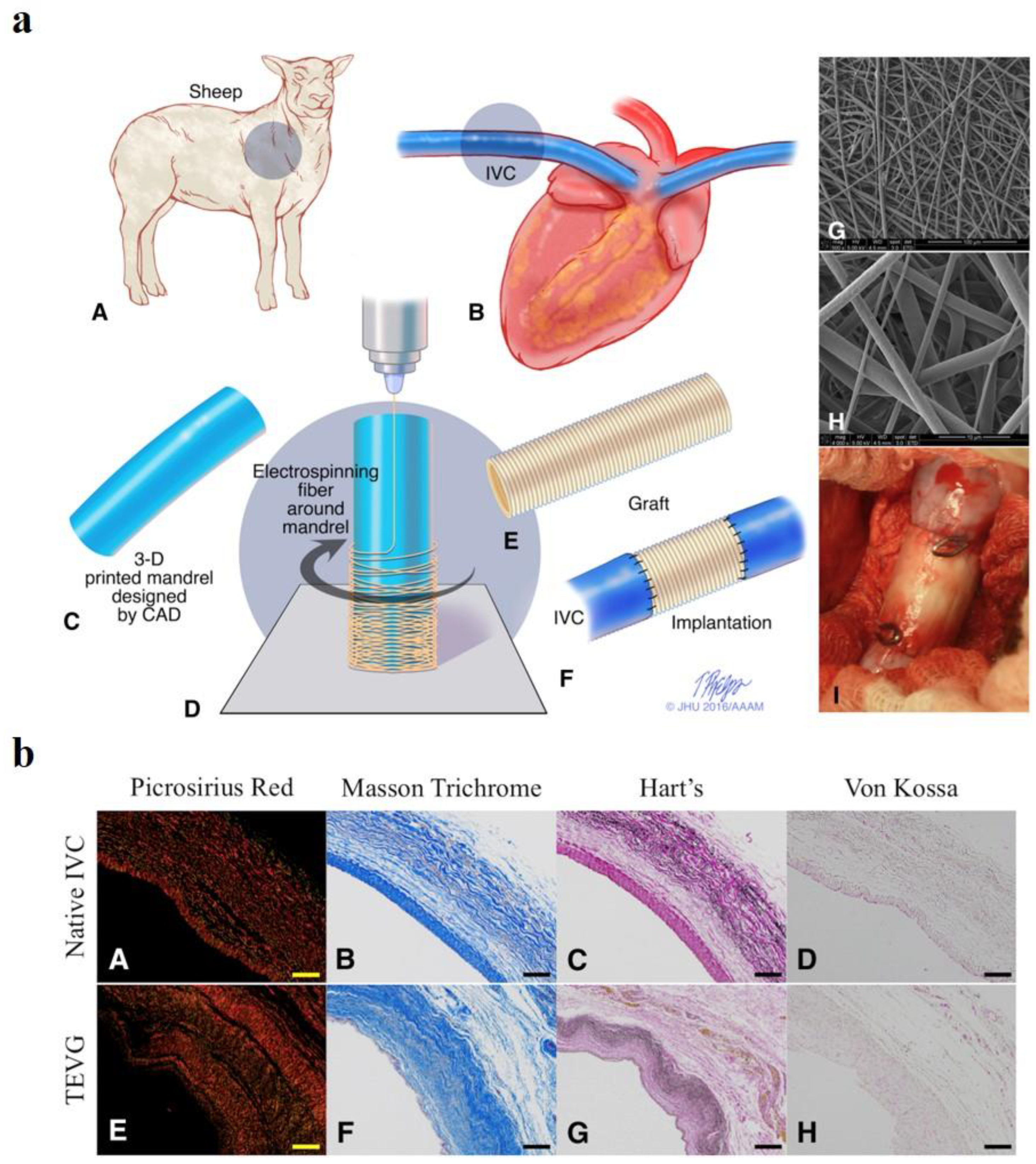 Polymers 15 02015 g002 Polymers 15 02015 g002