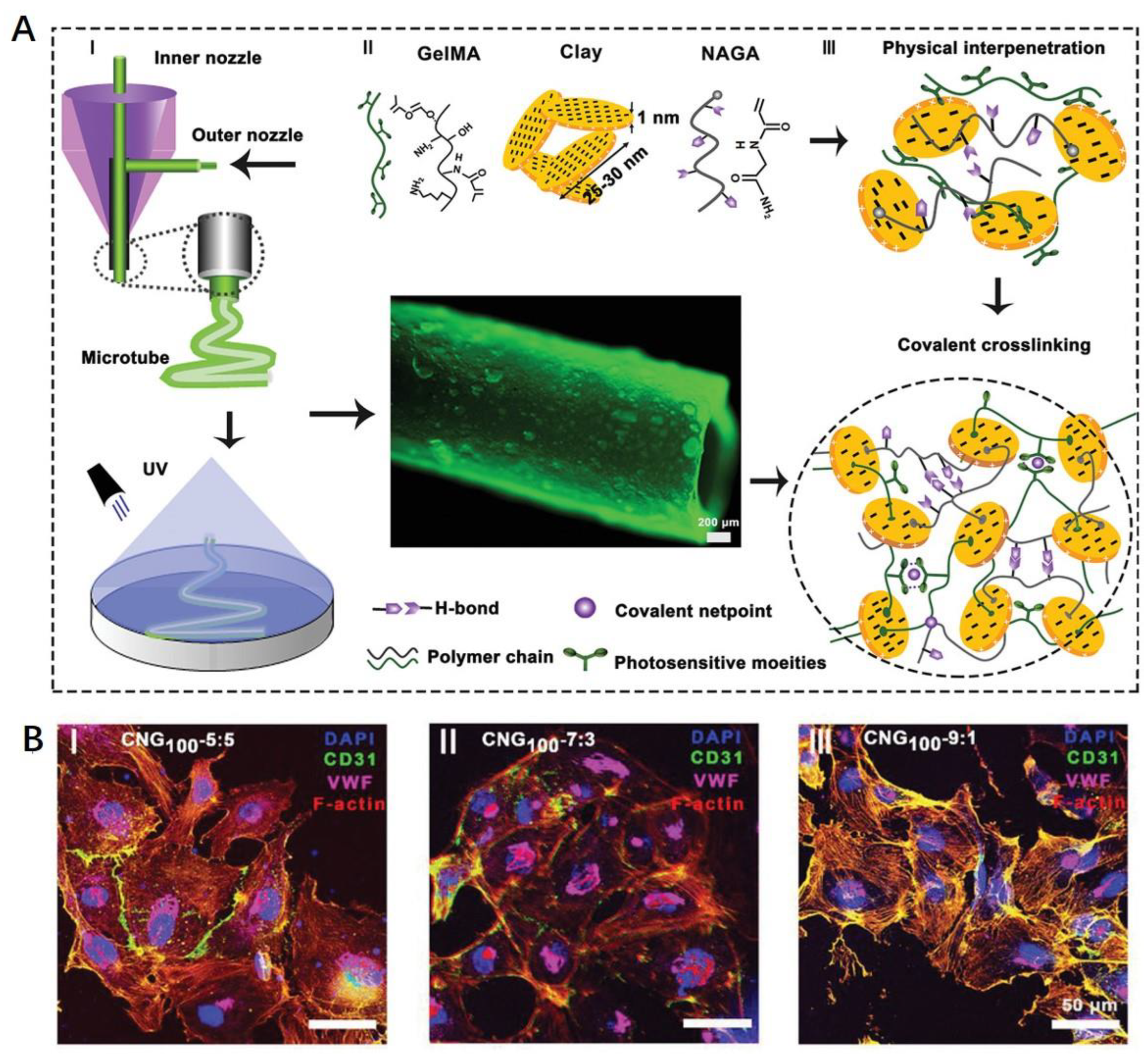 Polymers 15 02015 g005 Polymers 15 02015 g005
