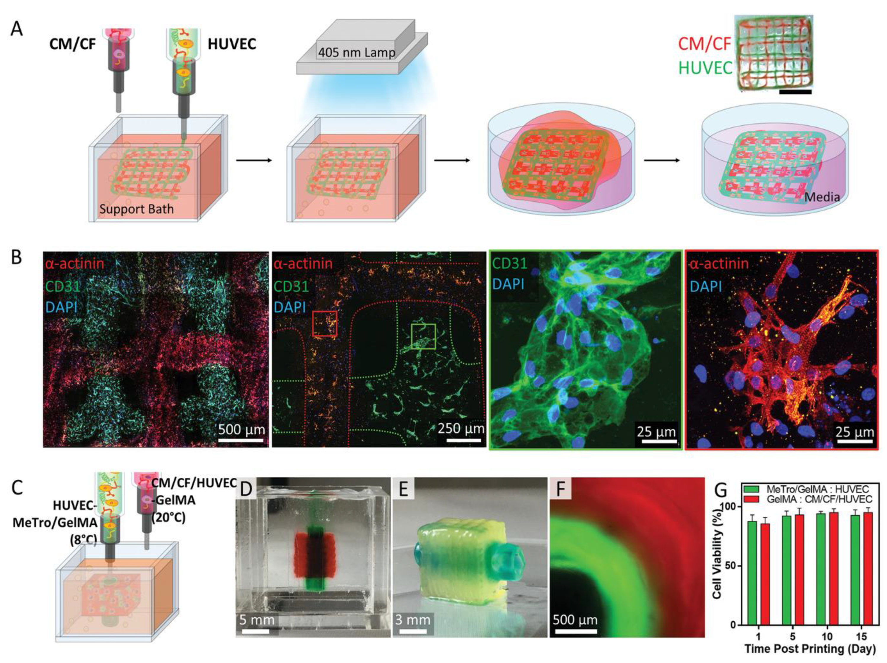 Polymers 15 02015 g006 Polymers 15 02015 g006