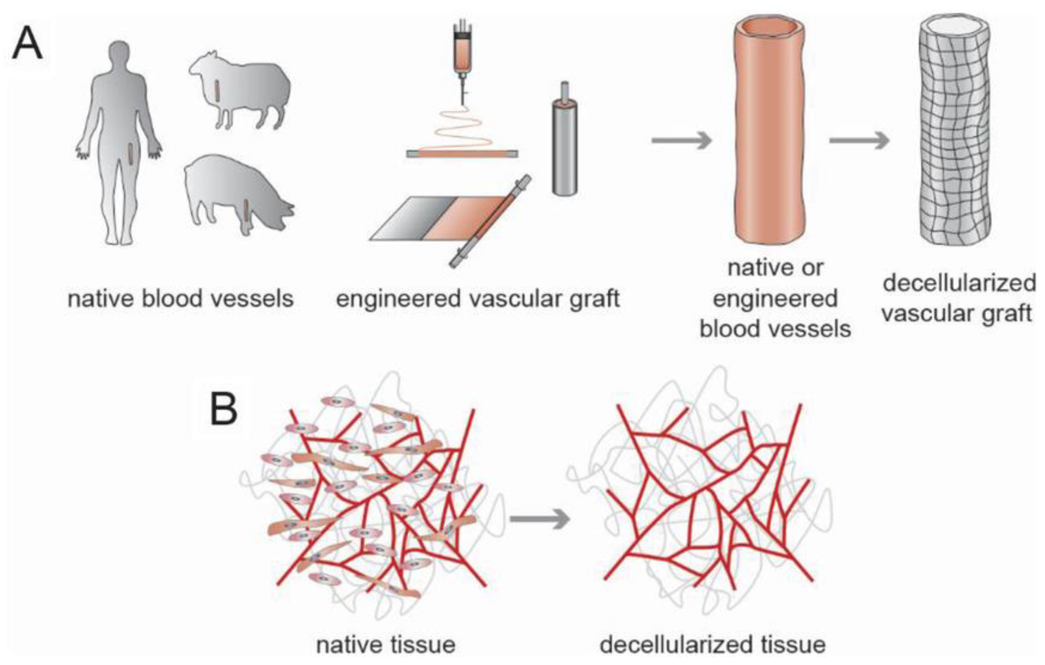 Polymers 15 02015 g008 Polymers 15 02015 g008
