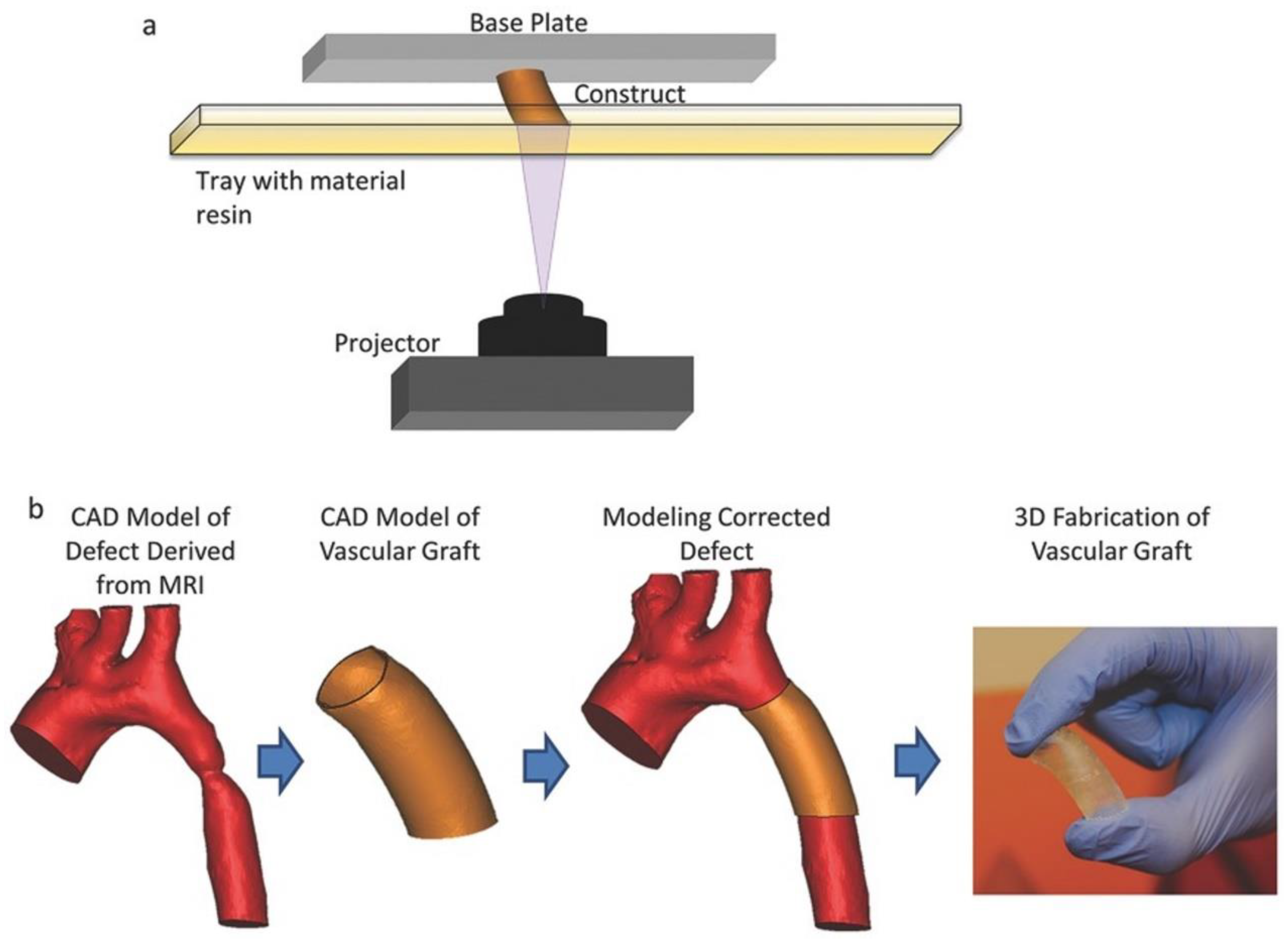 Polymers 15 02015 g011 Polymers 15 02015 g011