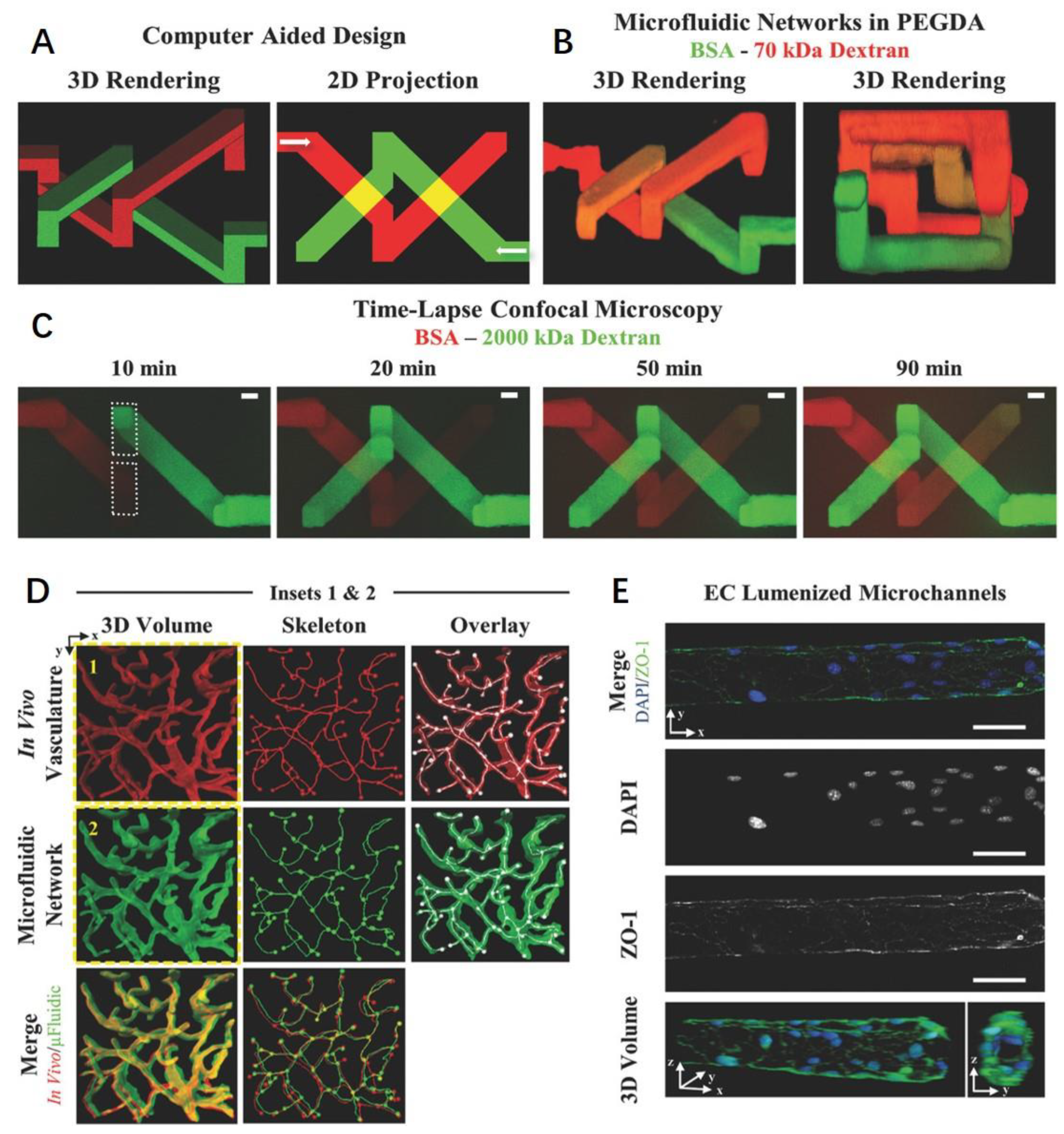 Polymers 15 02015 g012 Polymers 15 02015 g012