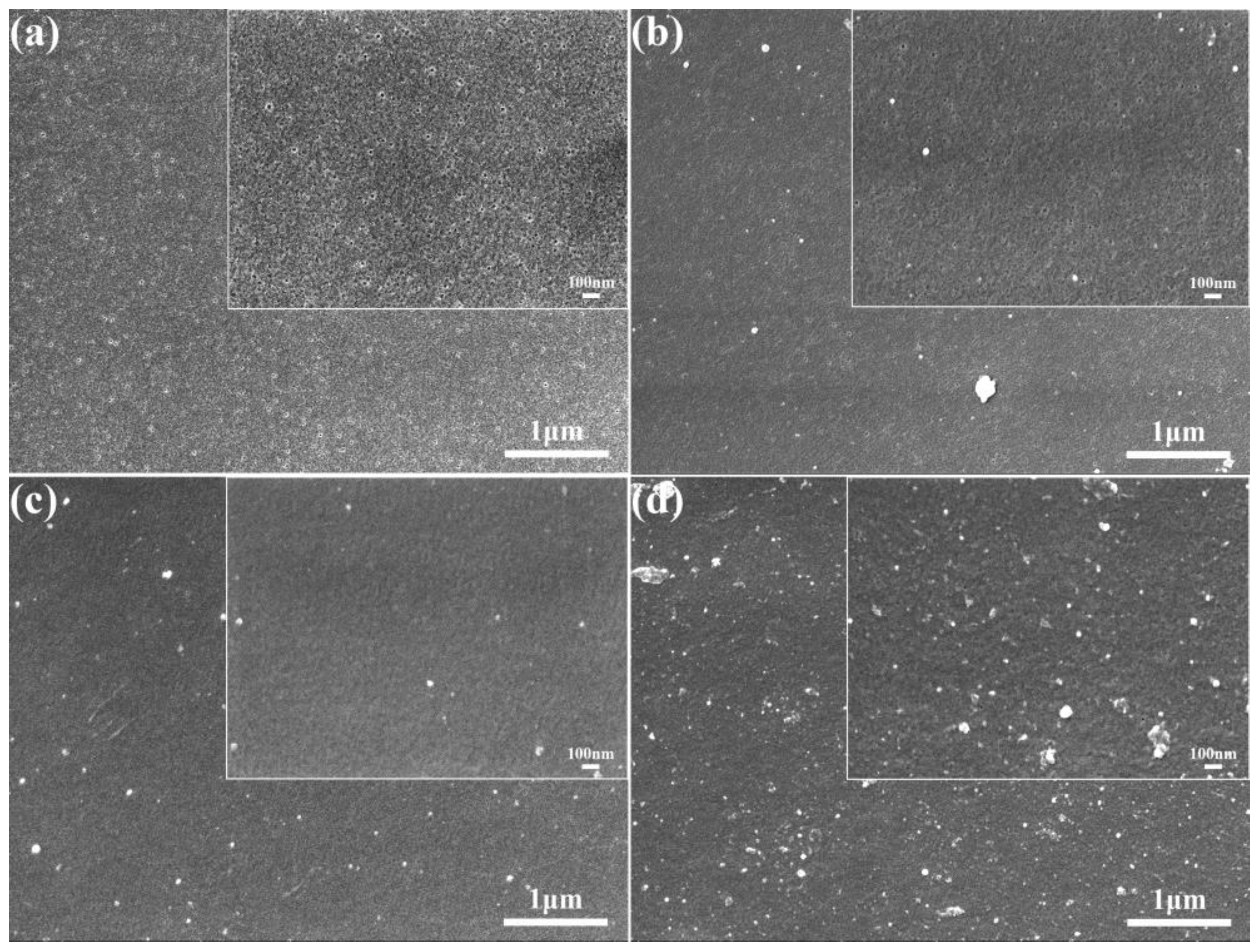 Polymers 15 02018 g006