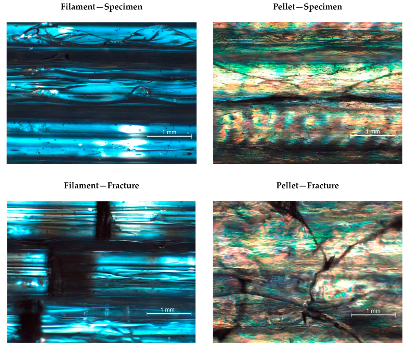 Polymers 15 02019 g010