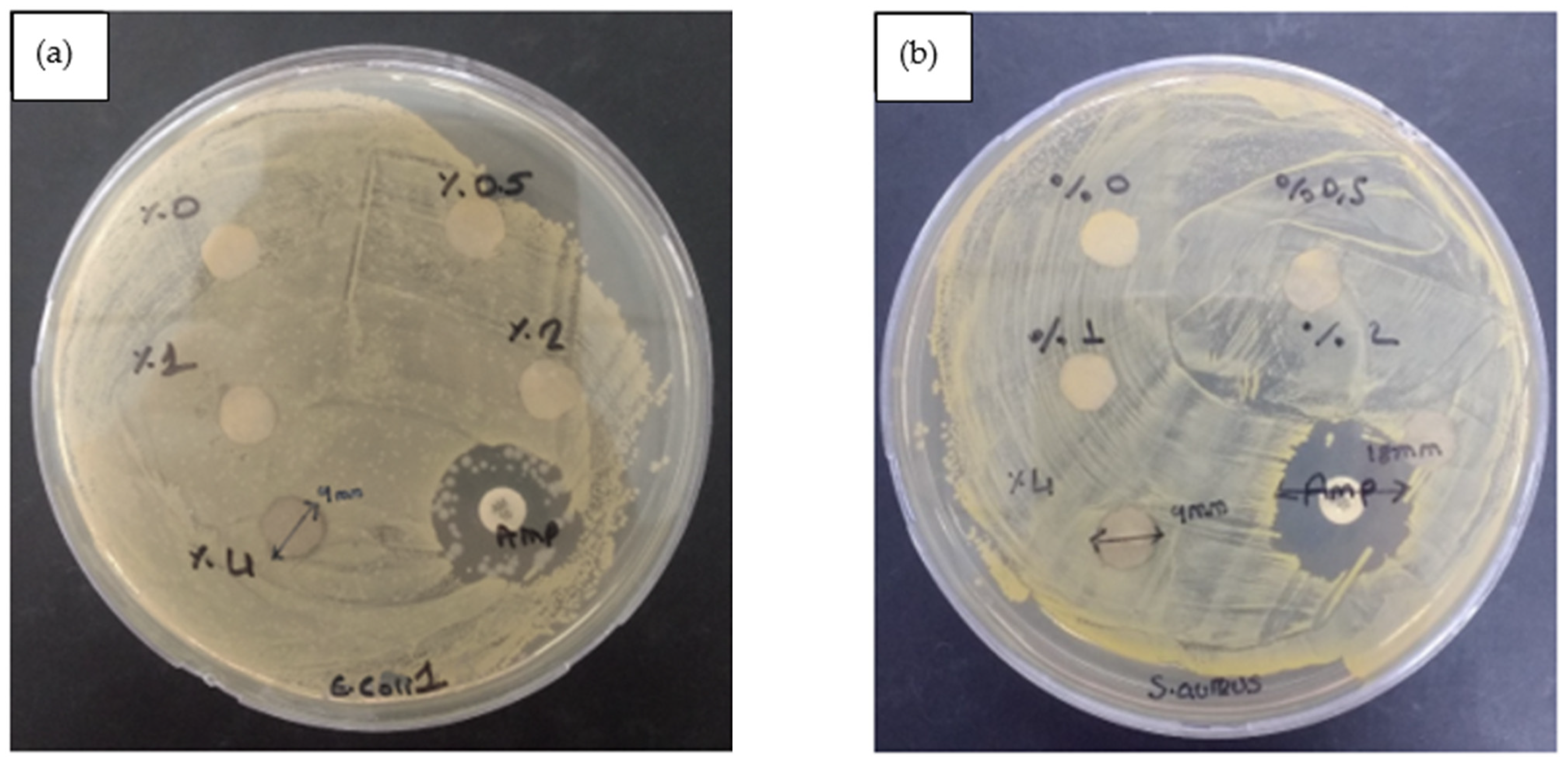 Polymers 15 02022 g010