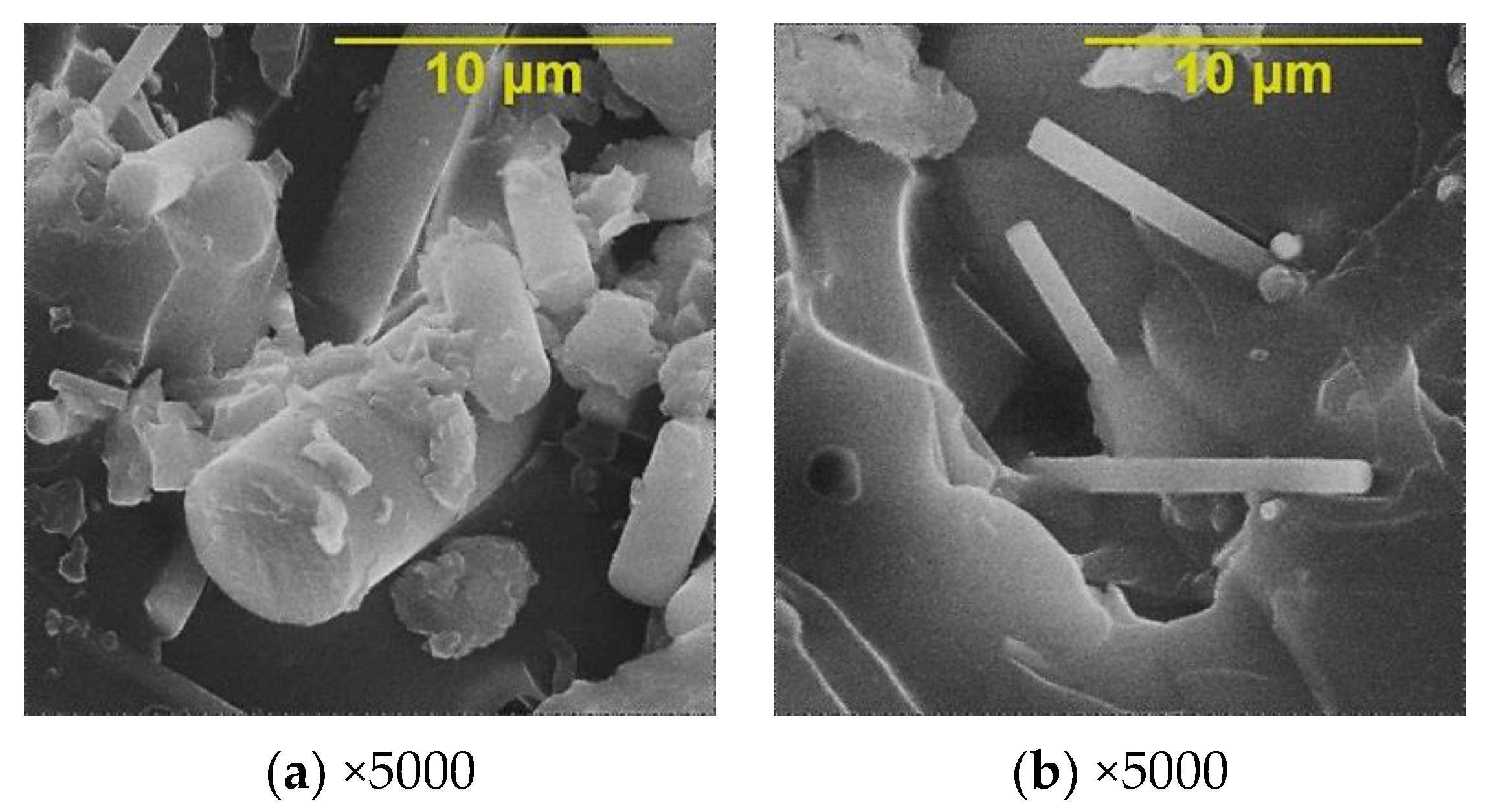 Polymers 15 02024 g014