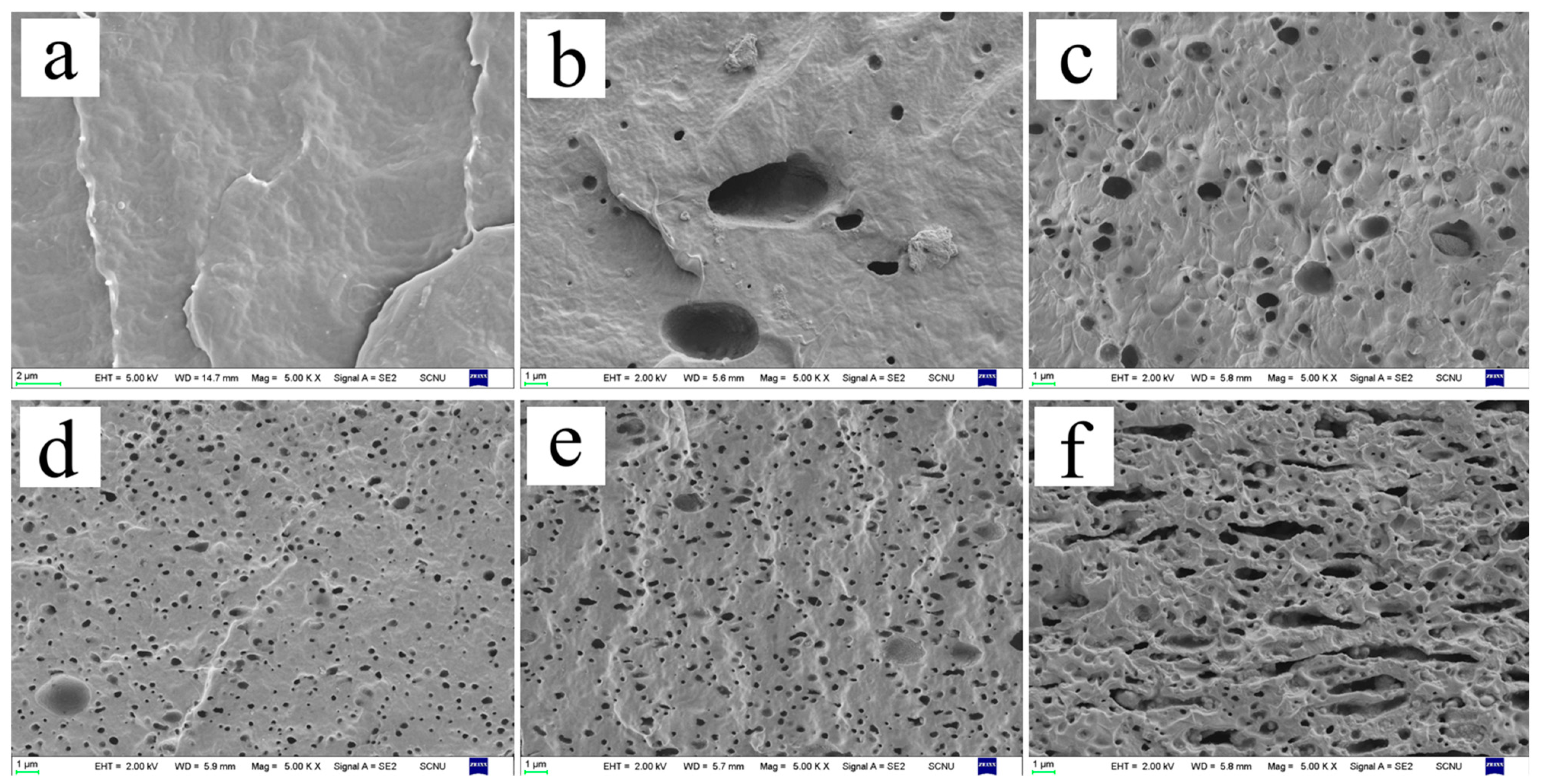 Polymers 15 02026 g004 Polymers 15 02026 g004
