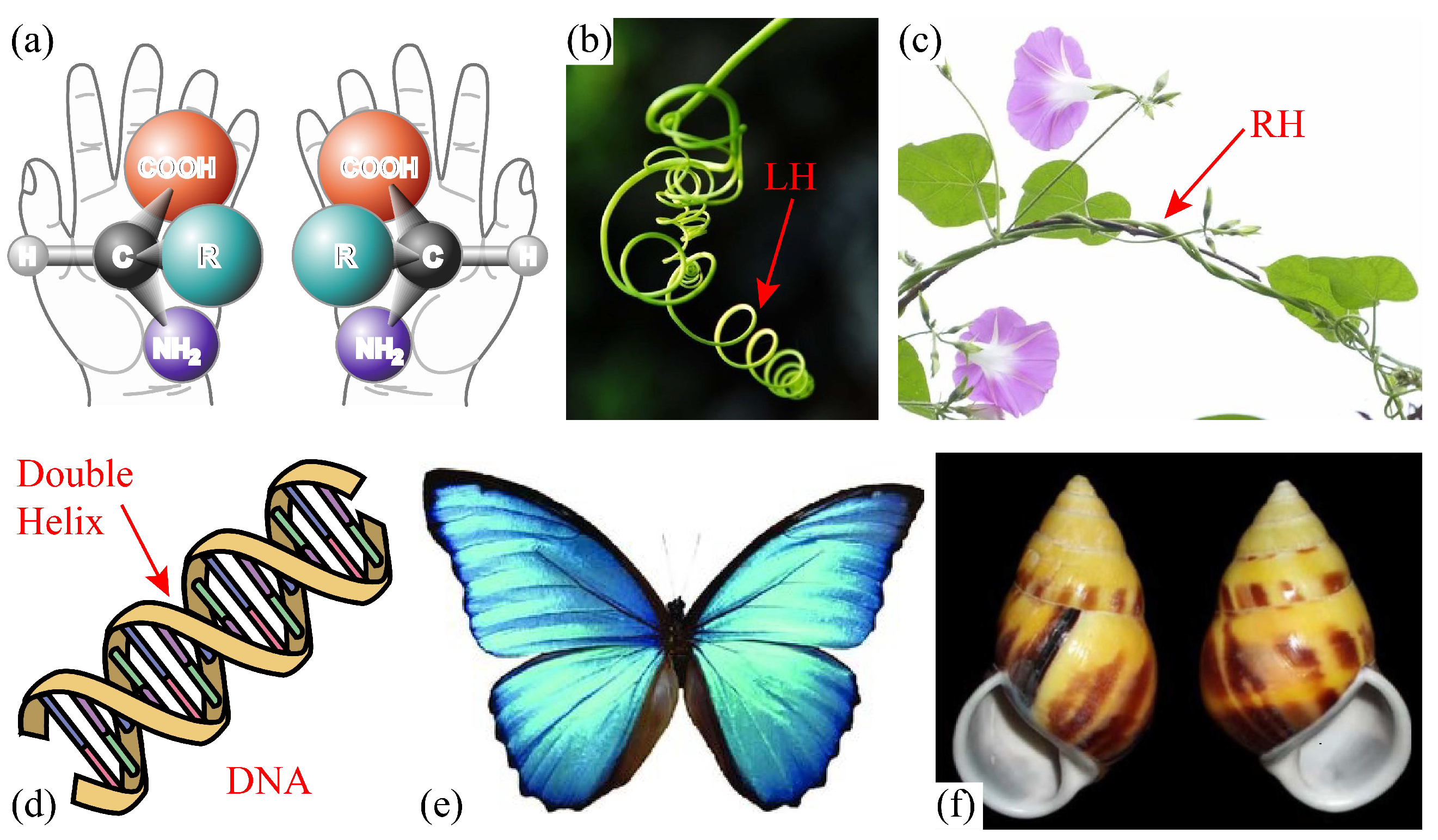 Polymers 15 02030 g001