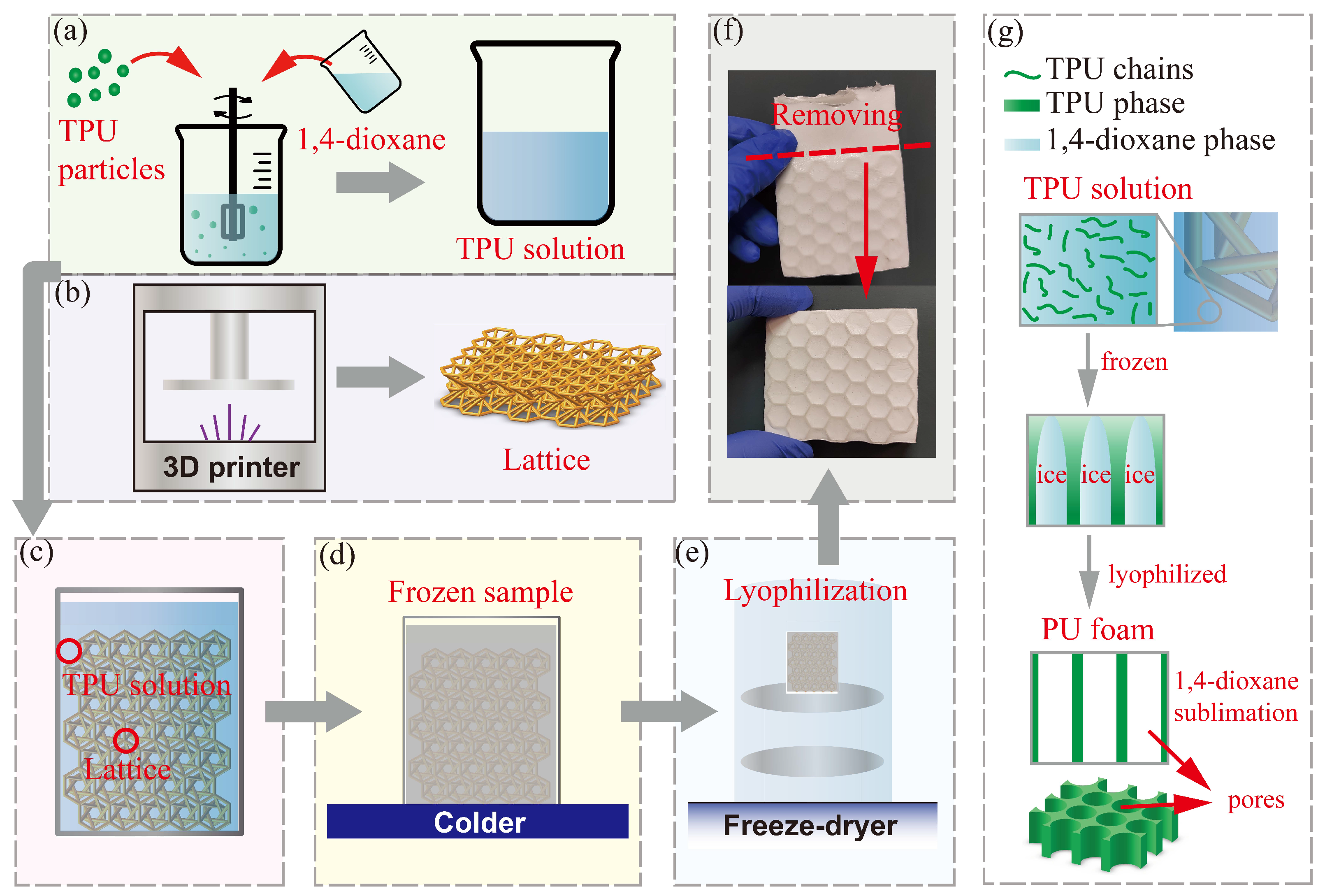 Polymers 15 02030 g004