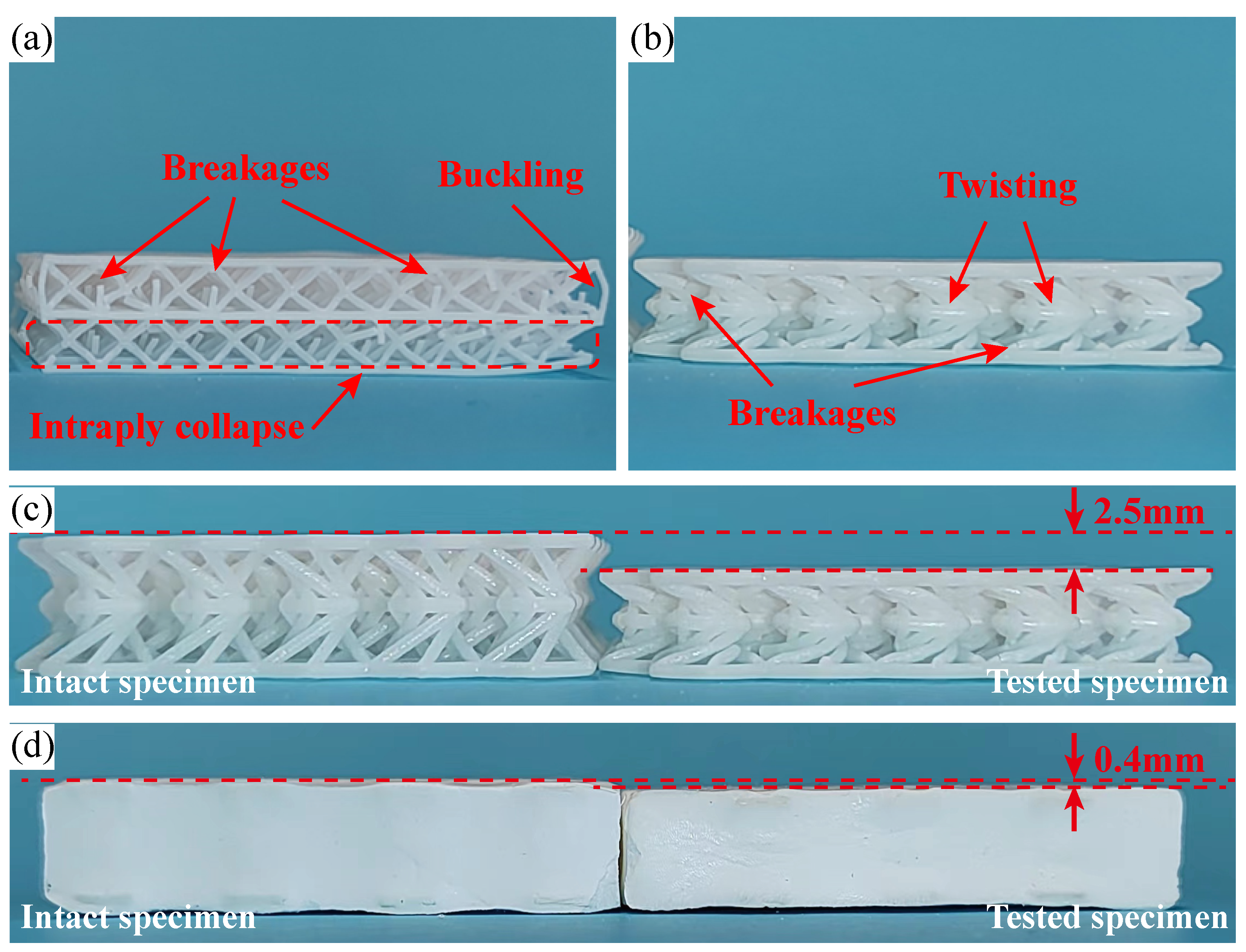 Polymers 15 02030 g012