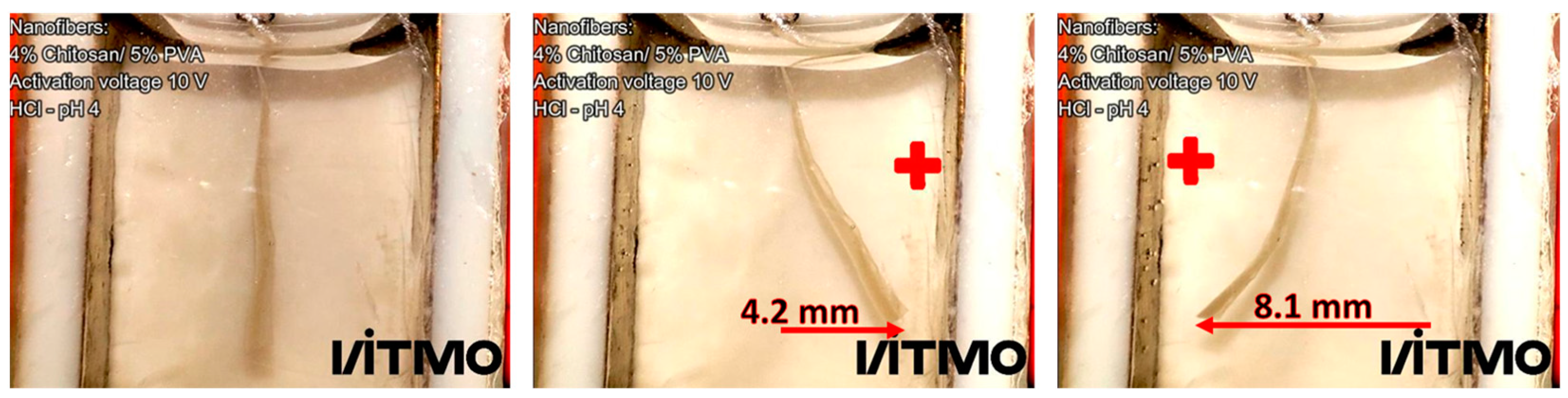 Polymers 15 02037 g009