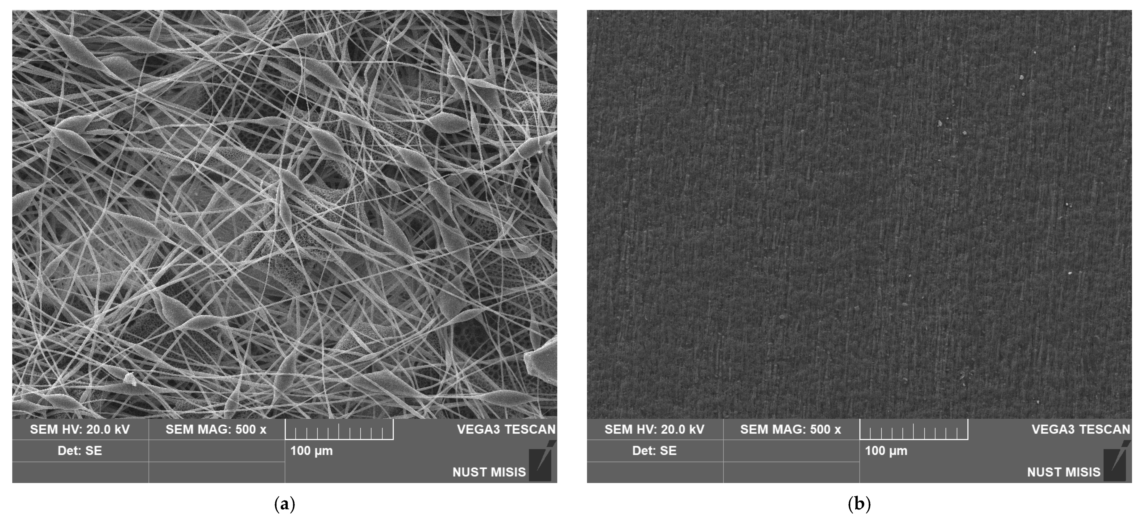 Polymers 15 02042 g004 Polymers 15 02042 g004