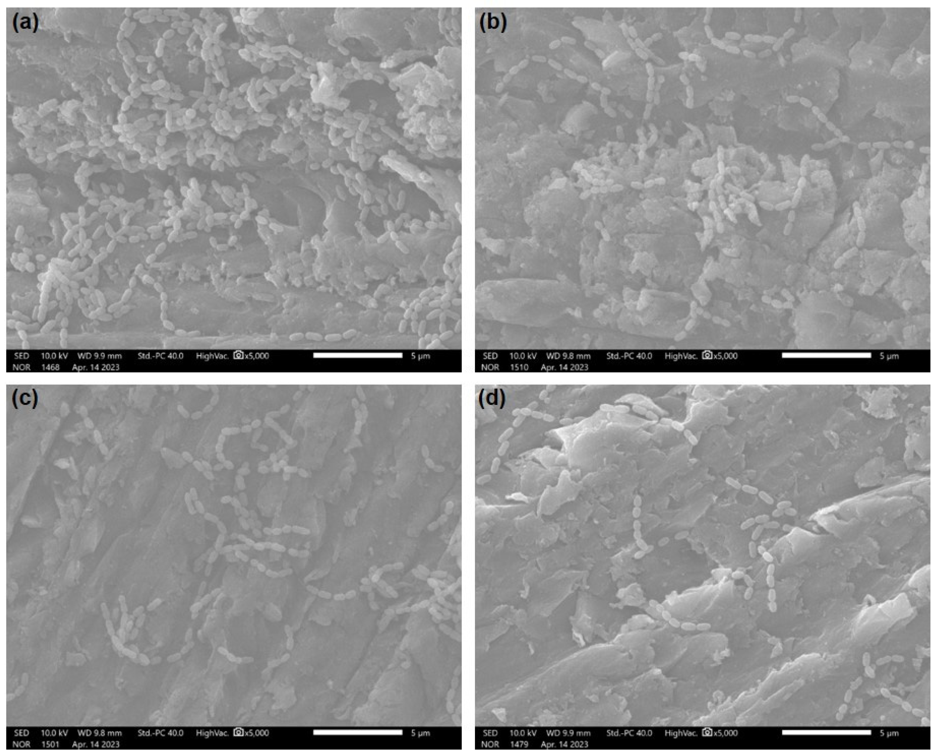 Polymers 15 02045 g004 Polymers 15 02045 g004