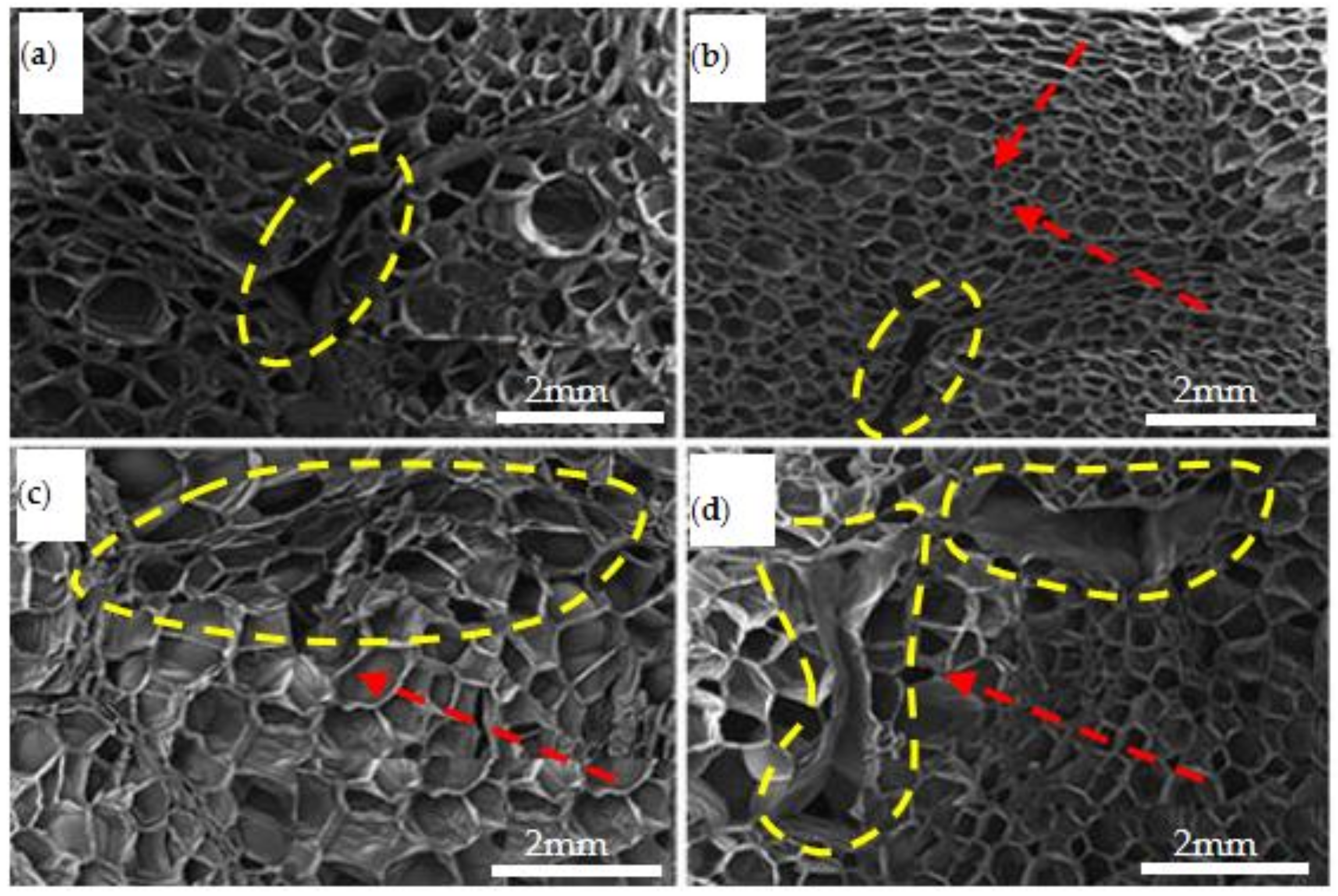Polymers 15 02059 g009 Polymers 15 02059 g009