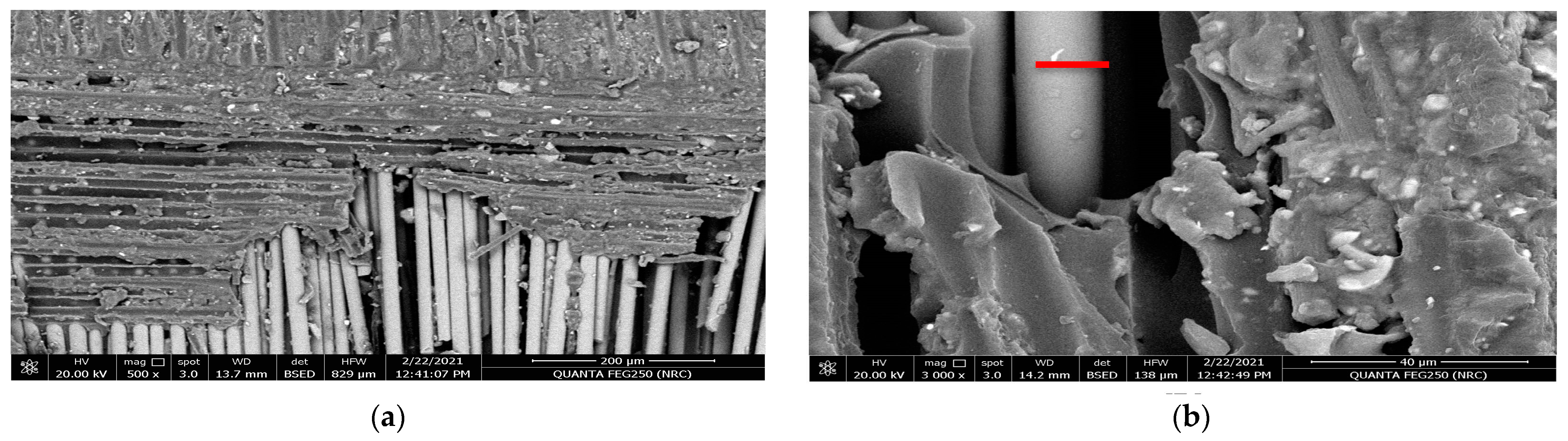 Polymers 15 02064 g005