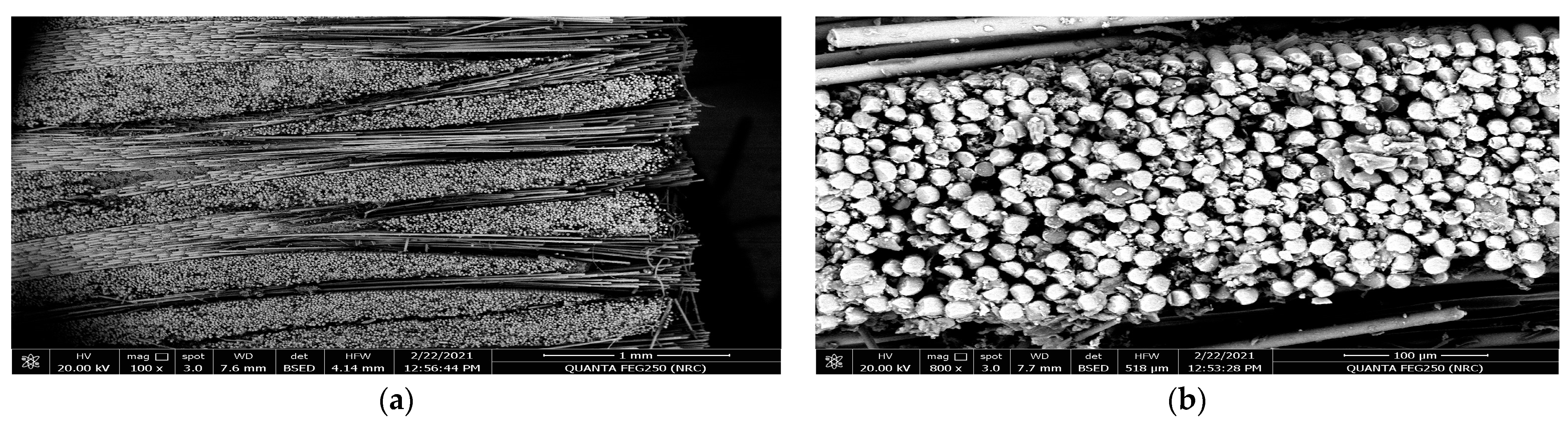 Polymers 15 02064 g006
