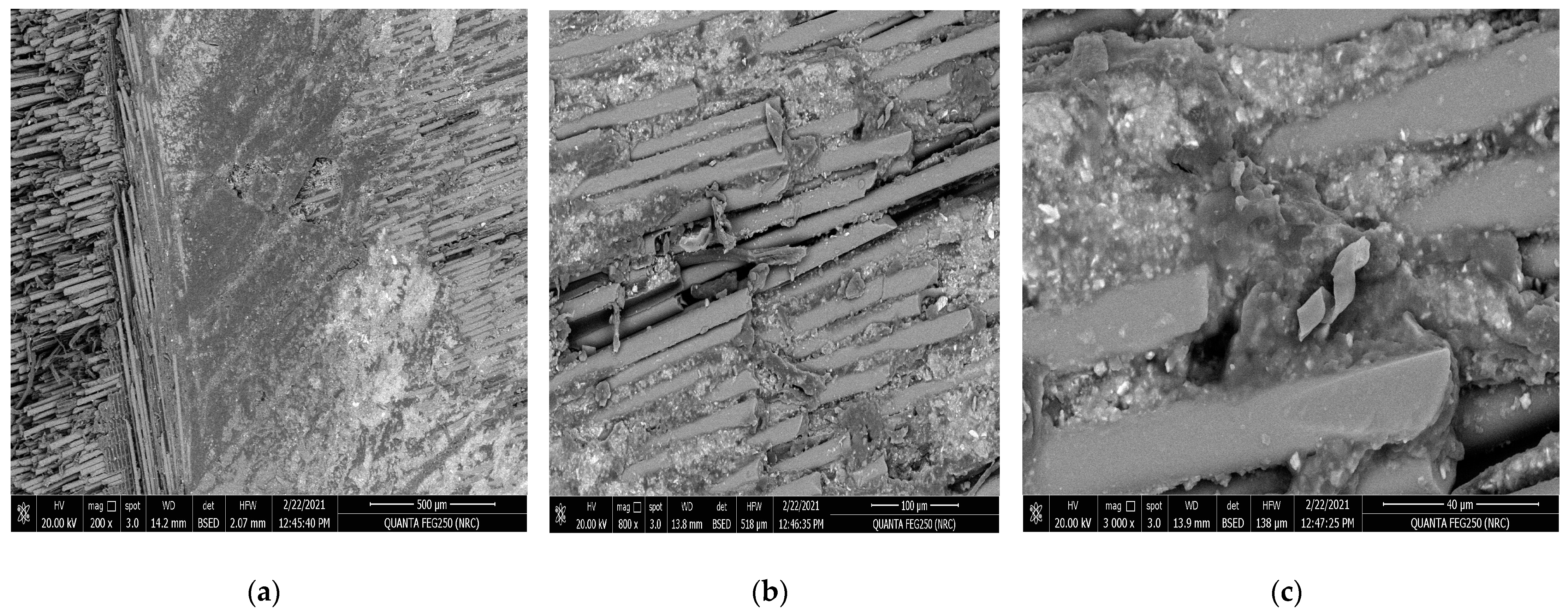 Polymers 15 02064 g009