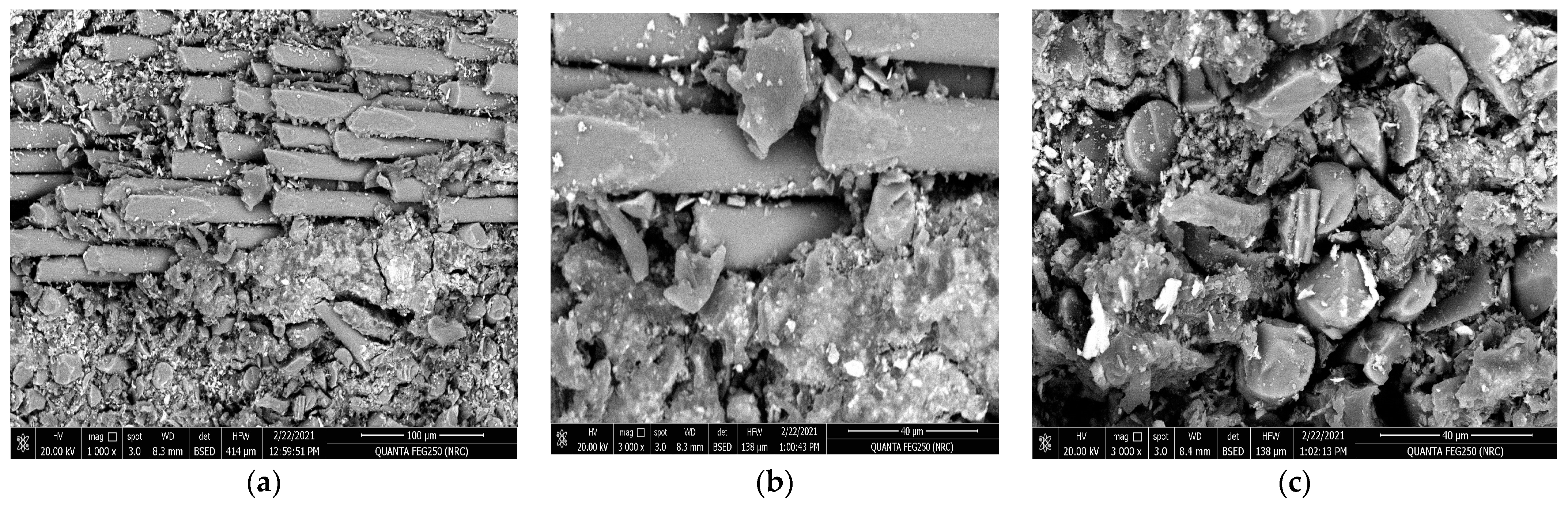 Polymers 15 02064 g010