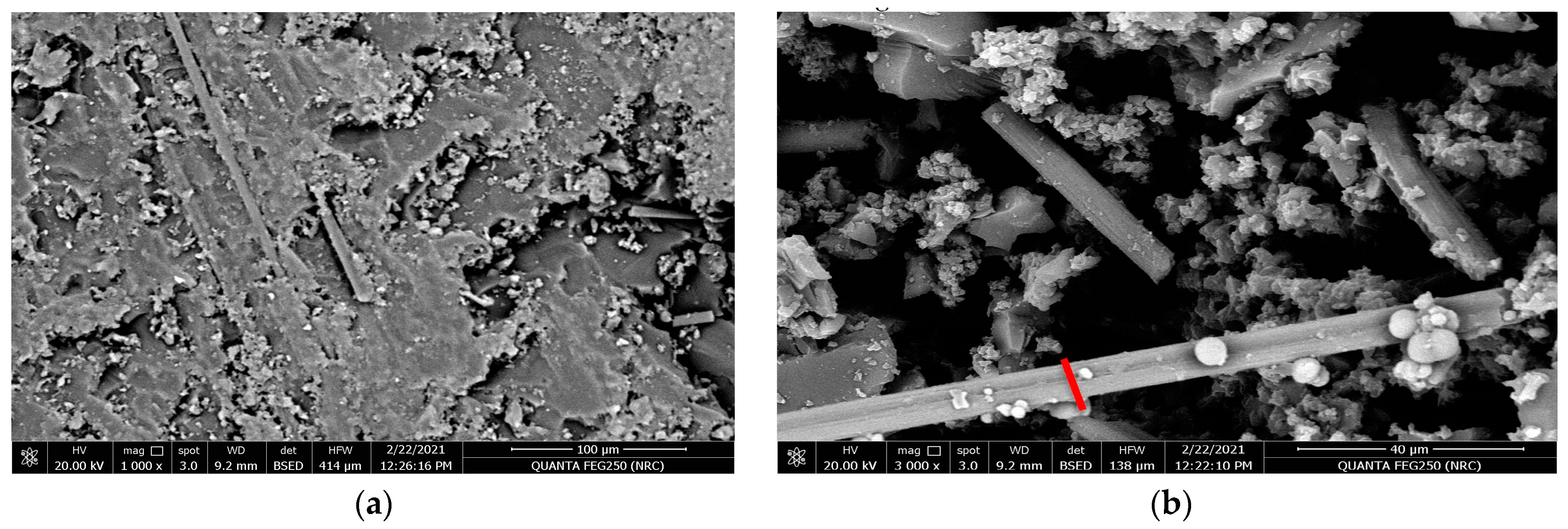 Polymers 15 02064 g012