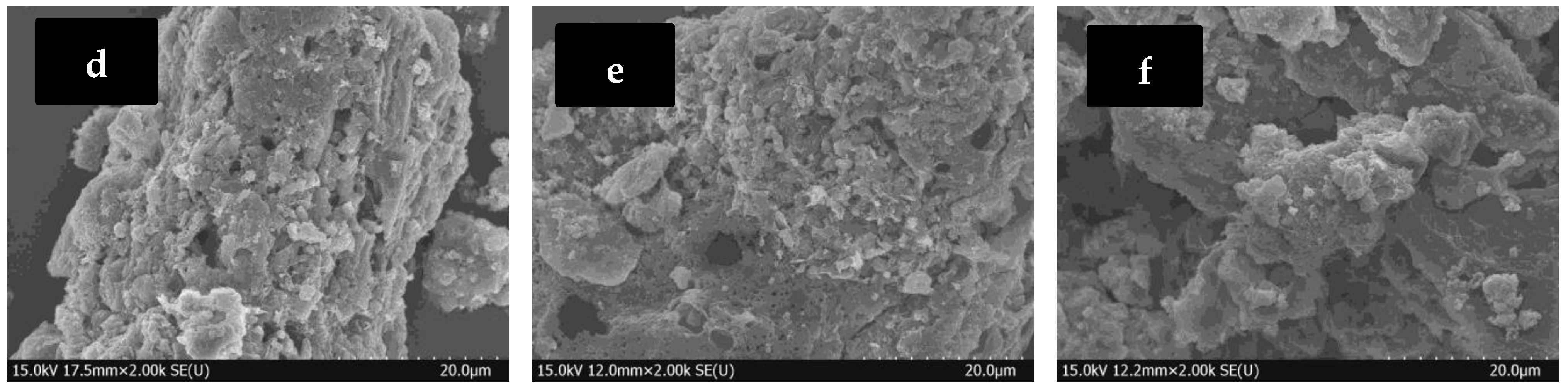 Polymers 15 02065 g005b