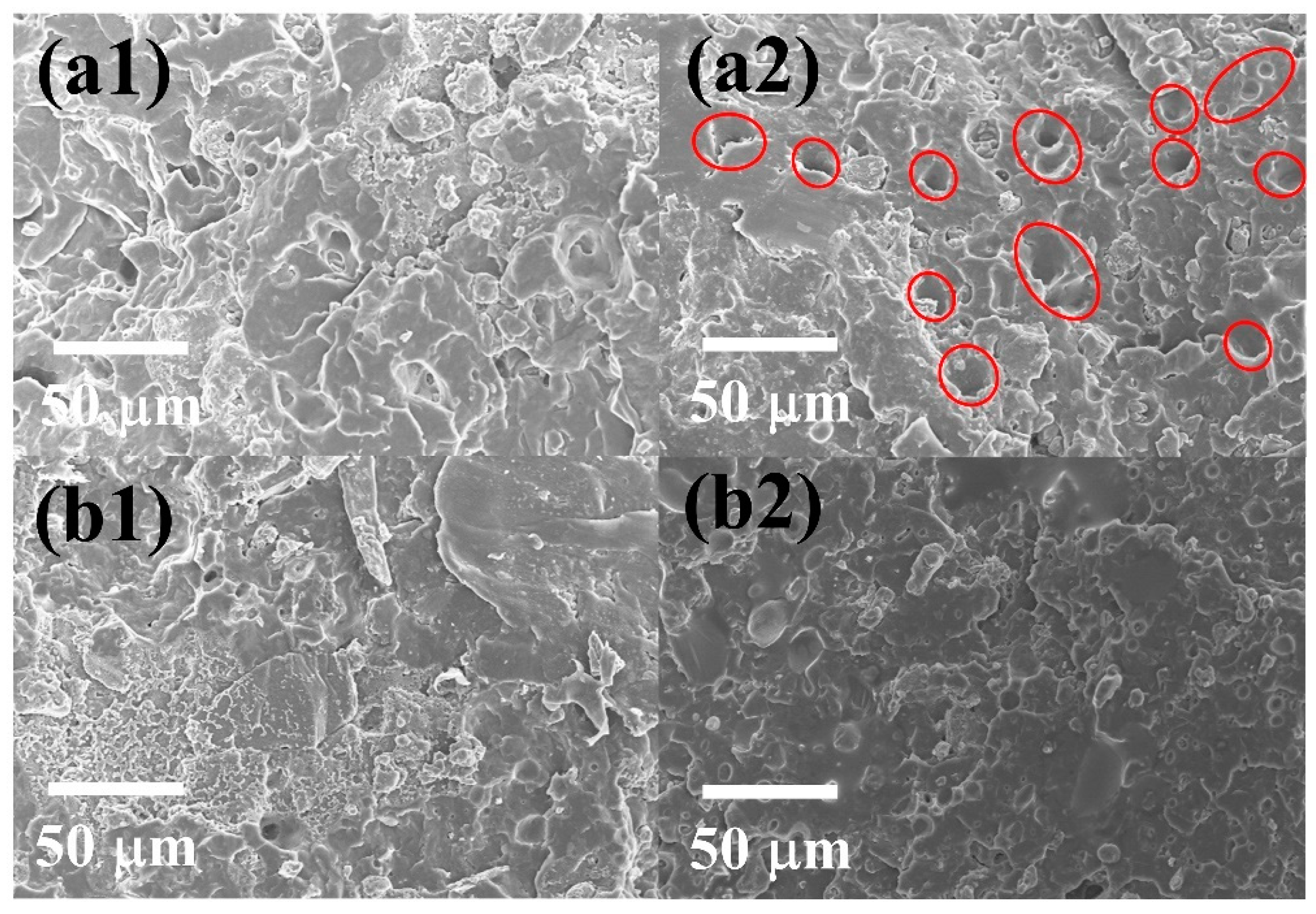 Polymers 15 02074 g008