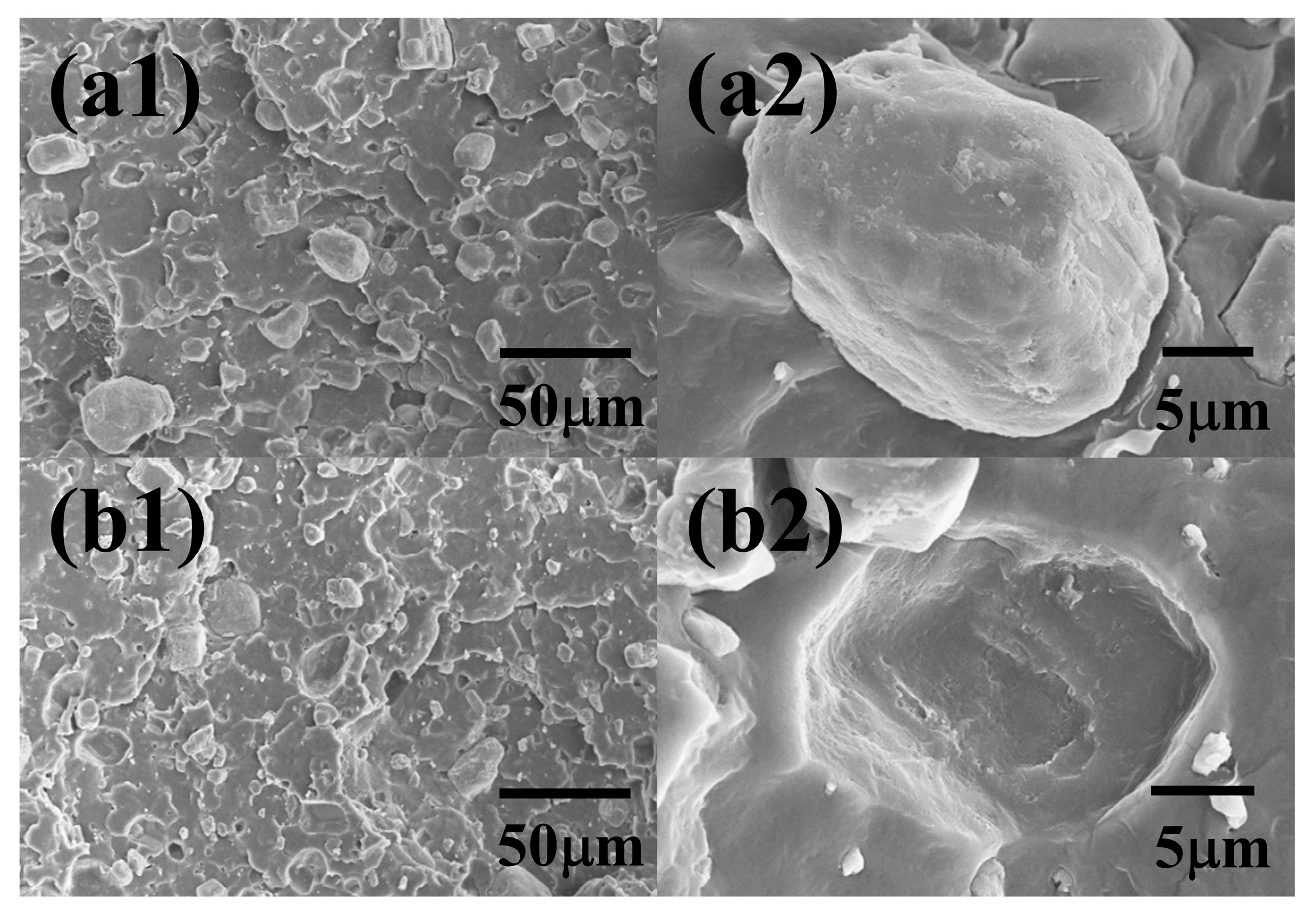 Polymers 15 02074 g012