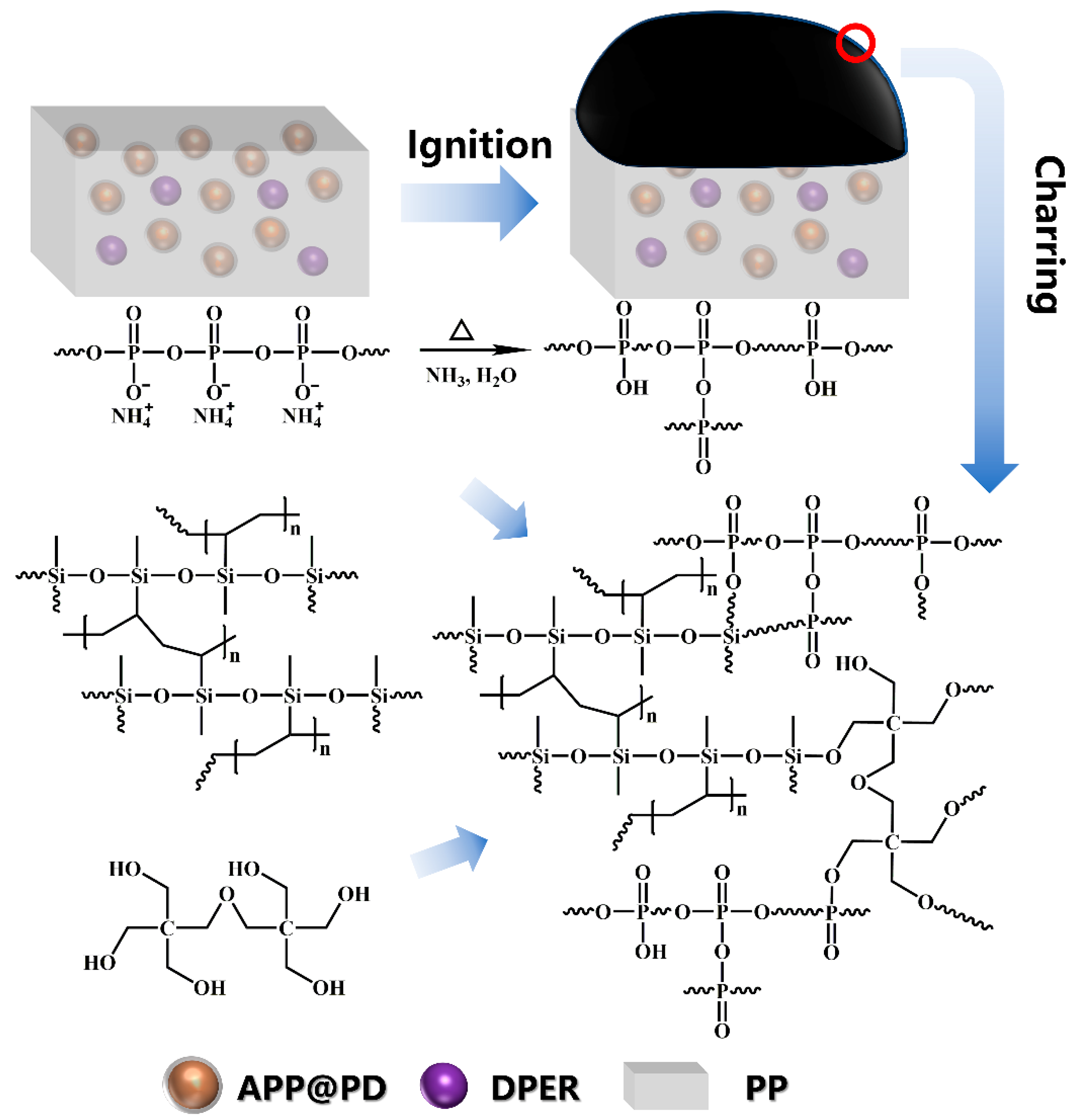 Polymers 15 02074 sch003