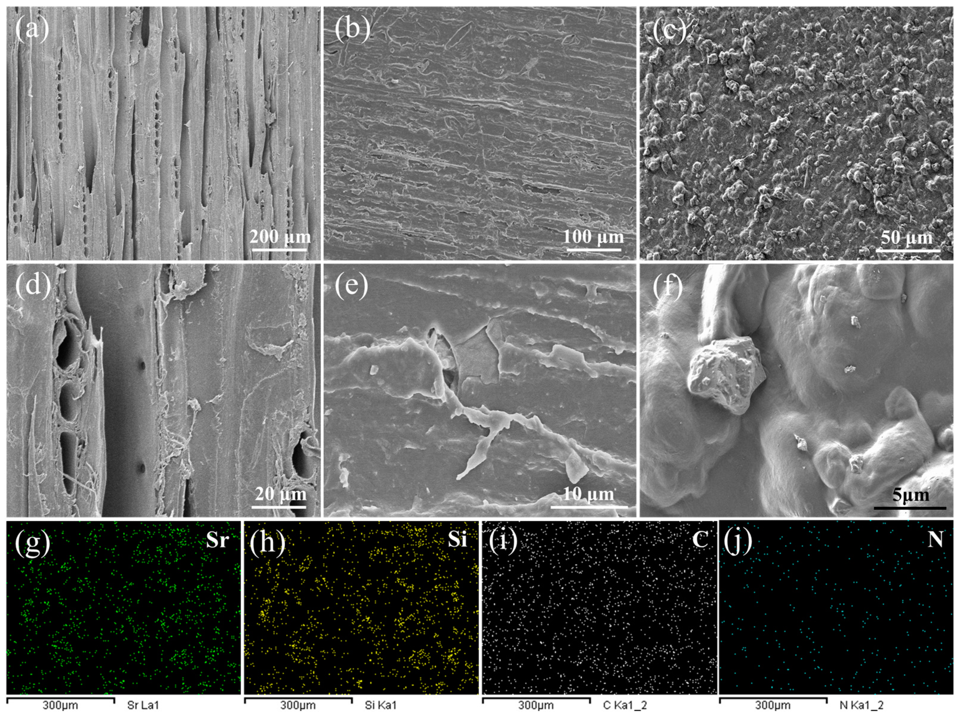 Polymers 15 02077 g007 Polymers 15 02077 g007