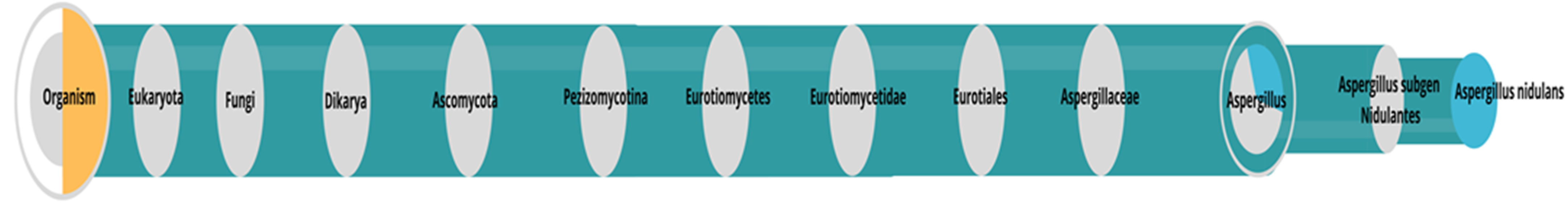 Polymers 15 02079 g001