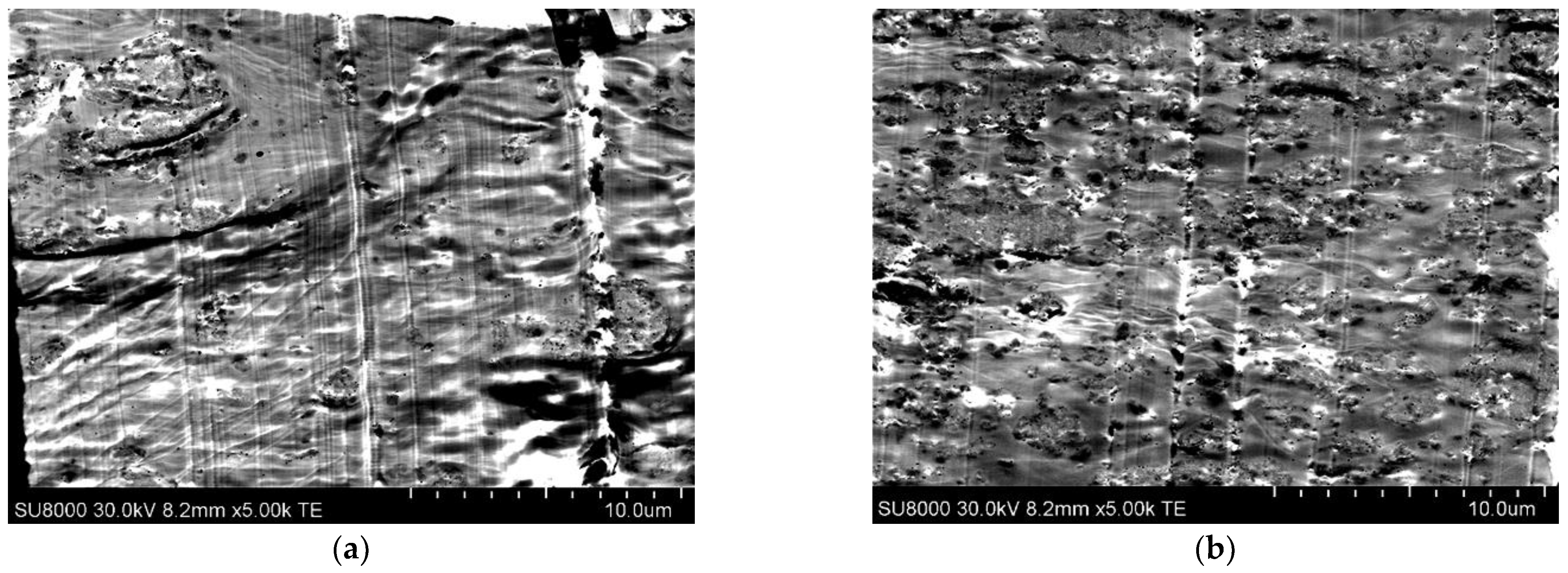 Polymers 15 02084 g002 Polymers 15 02084 g002