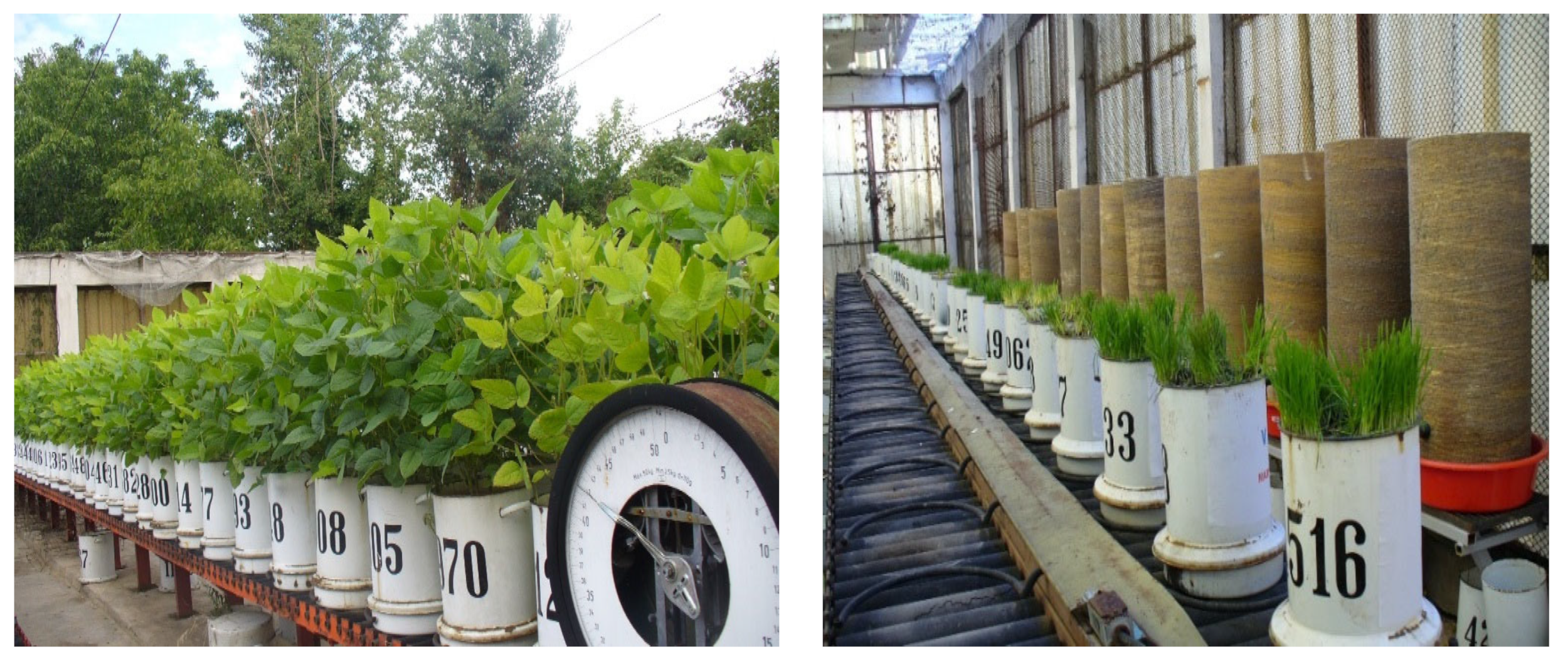 Polymers 15 02085 g001 Polymers 15 02085 g001