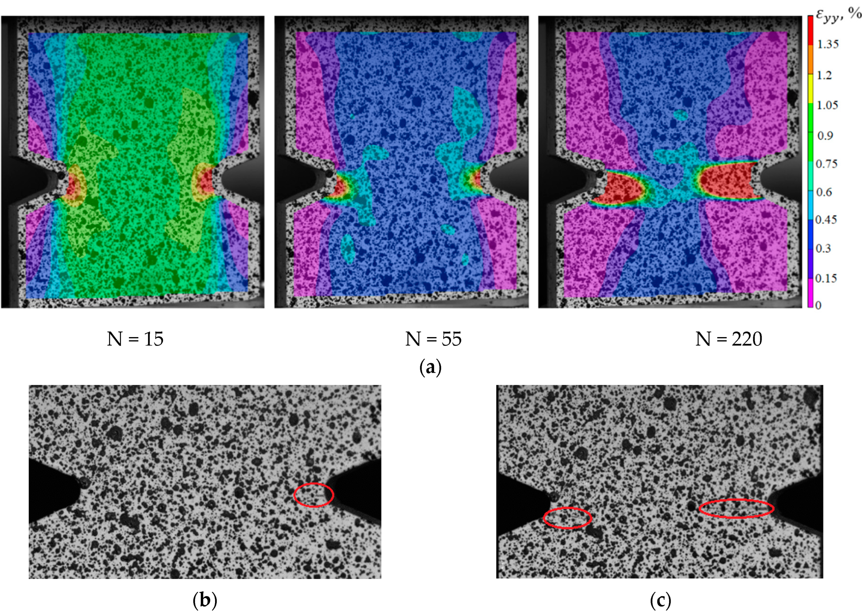 Polymers 15 02087 g017 Polymers 15 02087 g017
