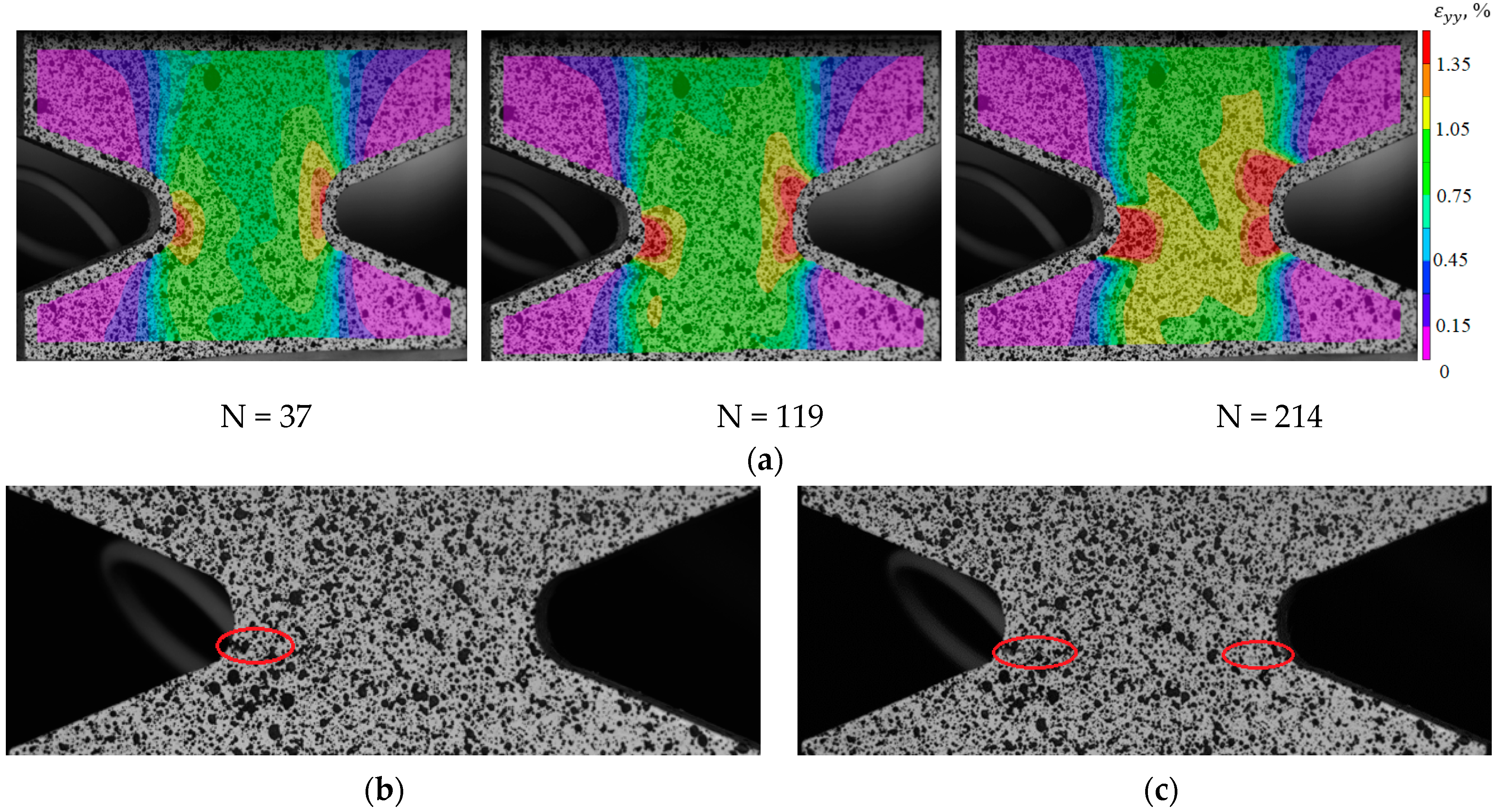 Polymers 15 02087 g018 Polymers 15 02087 g018